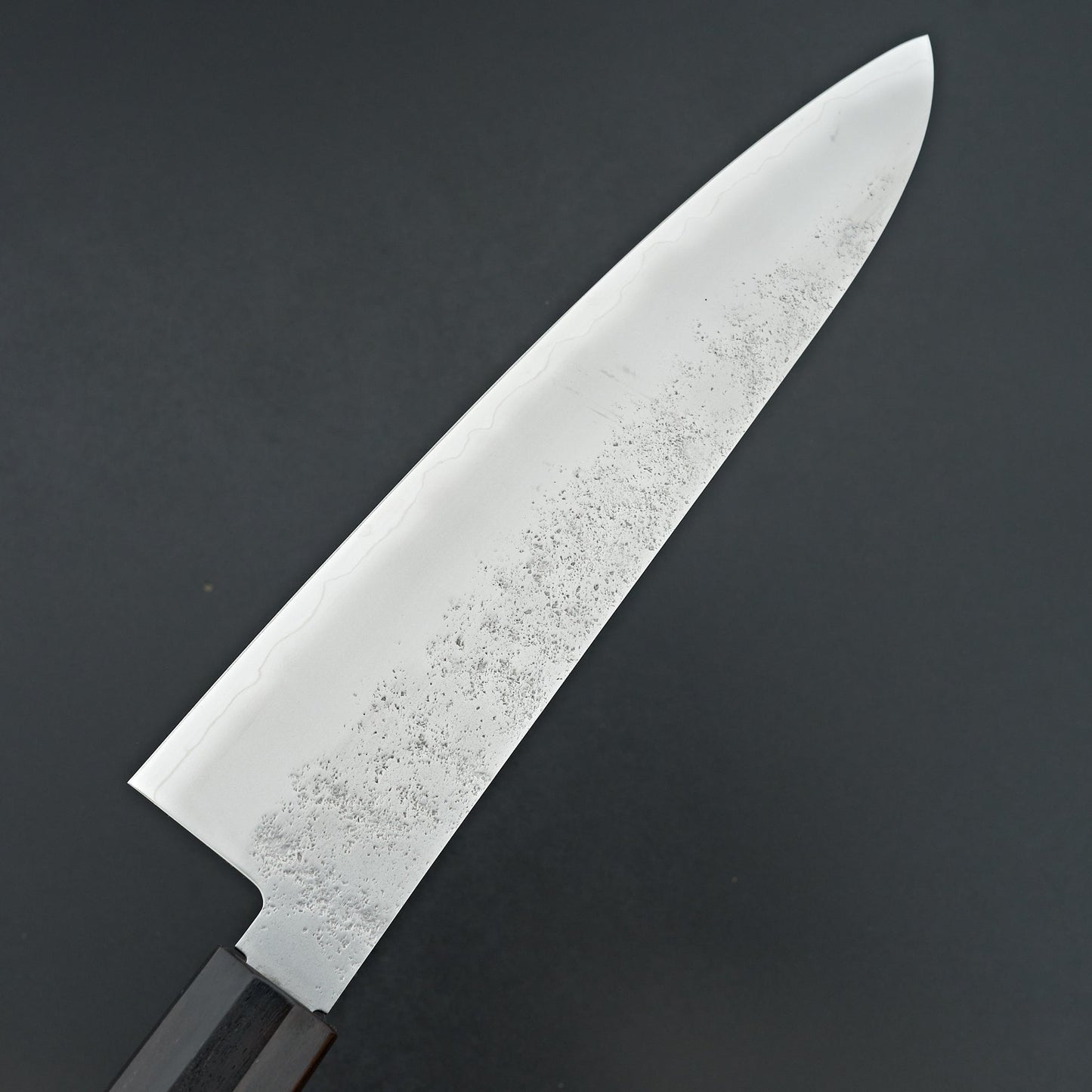 Sakai Takayuki VG10 Nashiji Gyuto 240mm