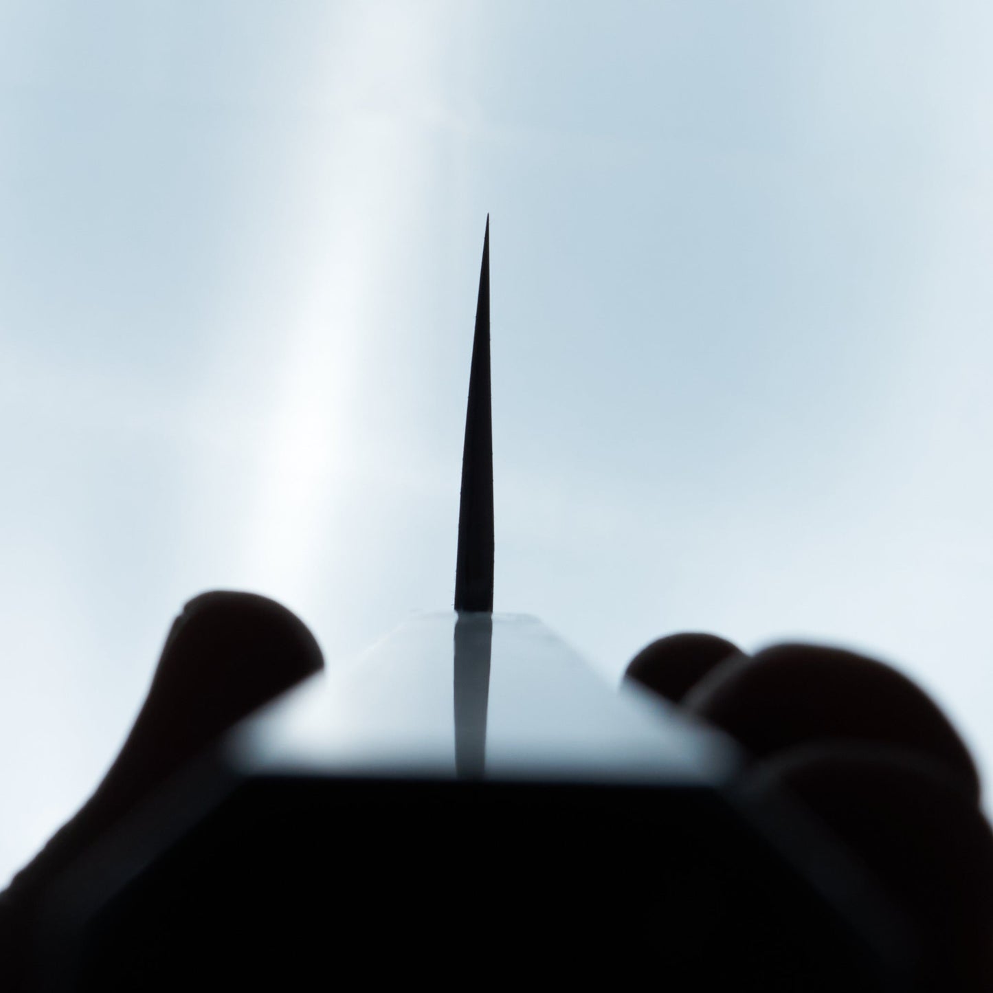 Itsuo Doi Aogami #2 Gyuto 240mm Ebony