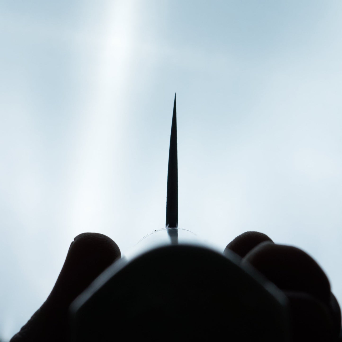 Itsuo Doi Aogami #2 Gyuto 240mm