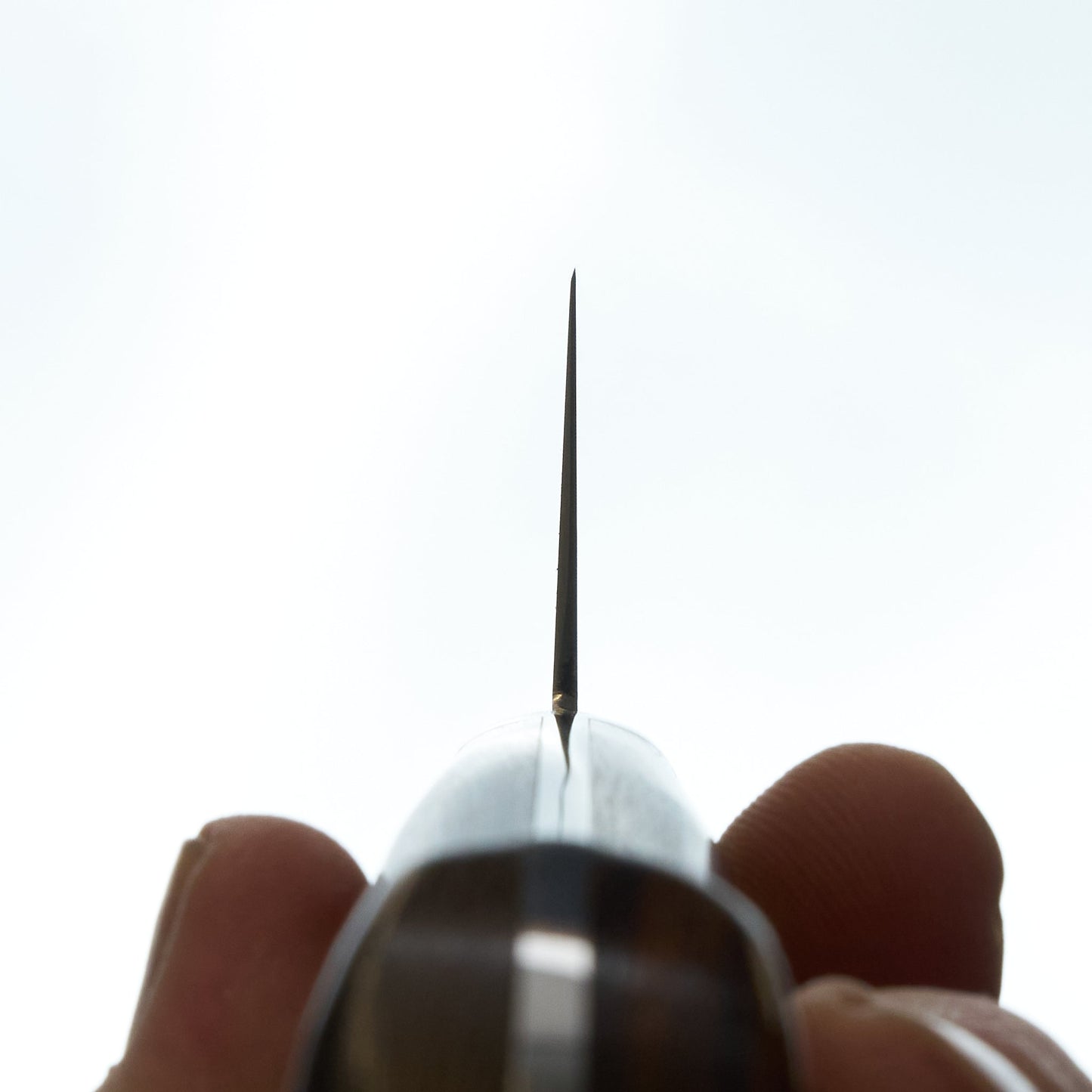 Sakai Takayuki Grand Chef SP Ironwood Gyuto 210