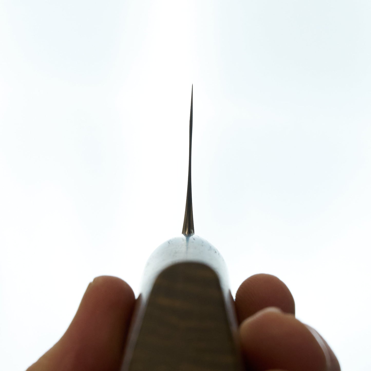 Lew Griffin S-Grind San Mai 52100 Curly Mango Gyuto 240mm