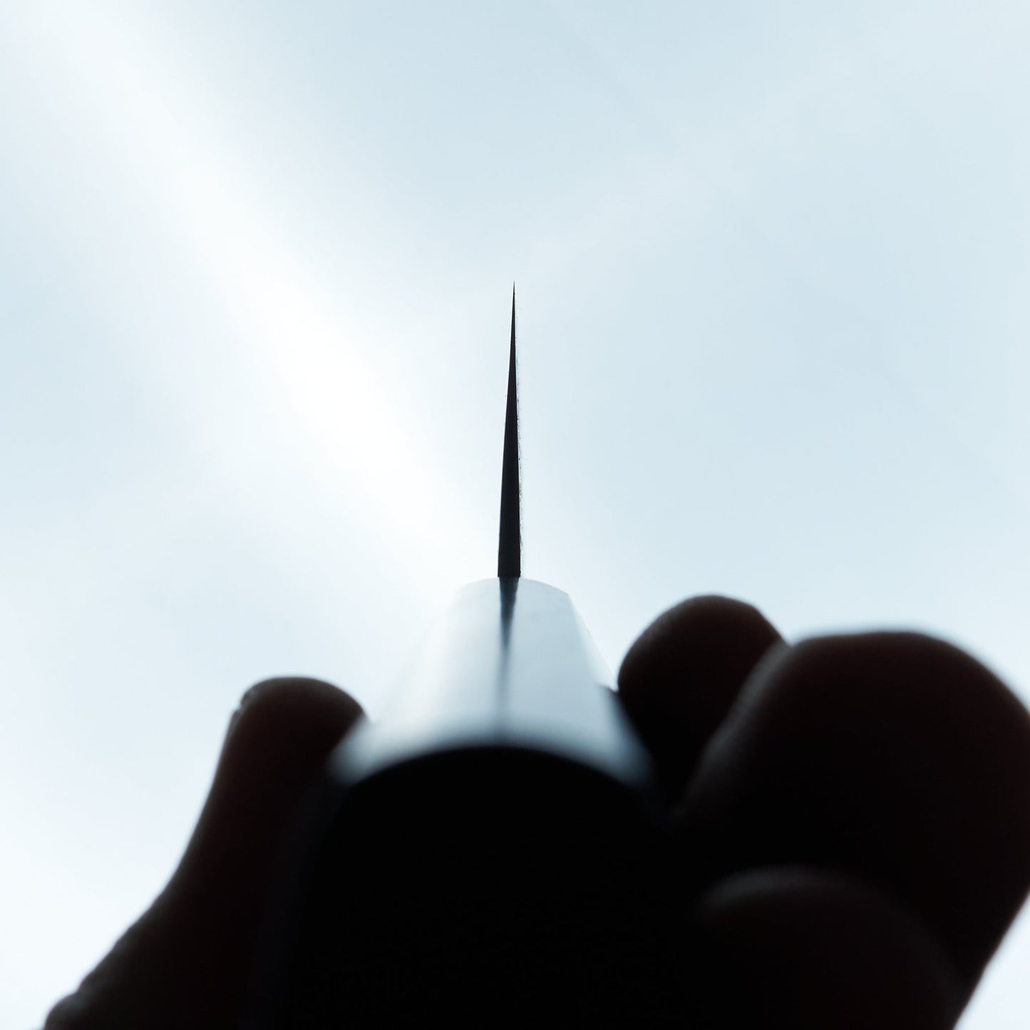 Sakai Takayuki VG10 Nashiji Gyuto 210mm