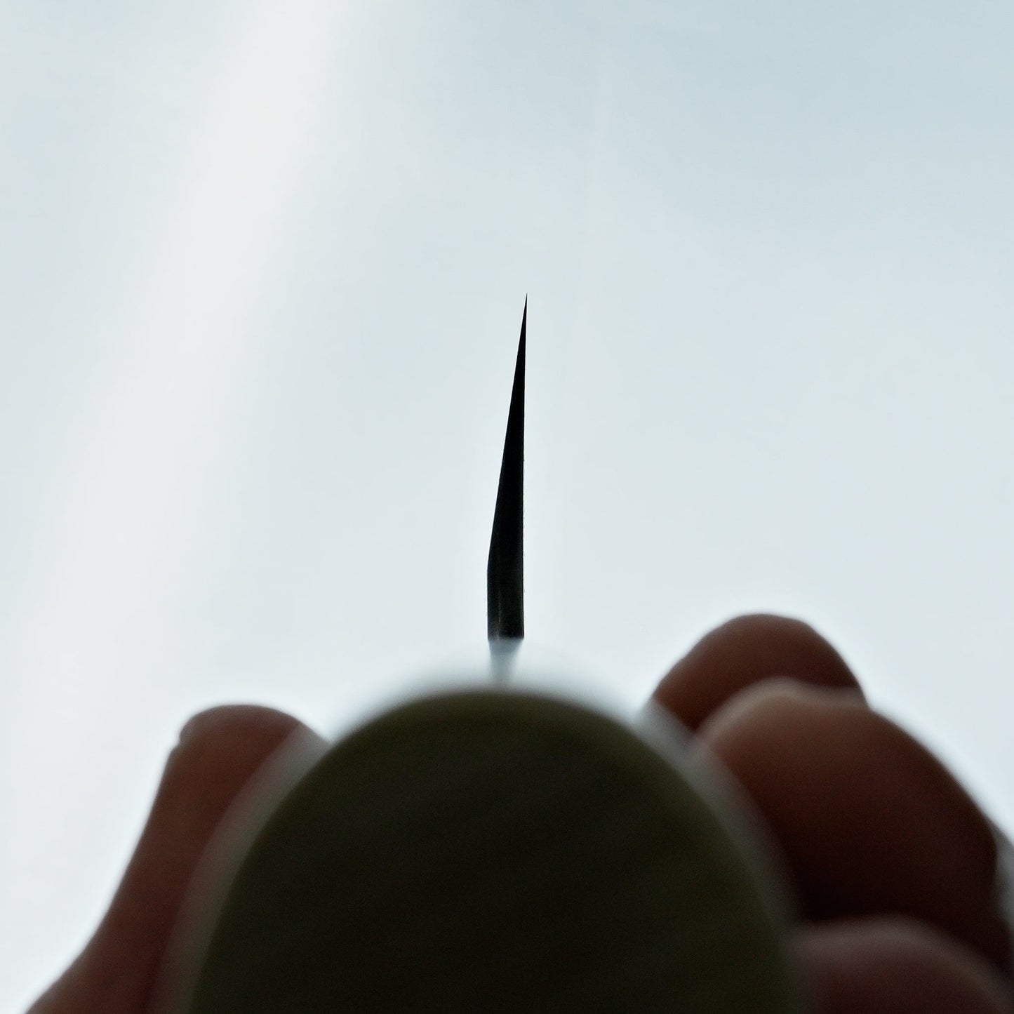 Sakai Takayuki Tokujou Usuba 210mm