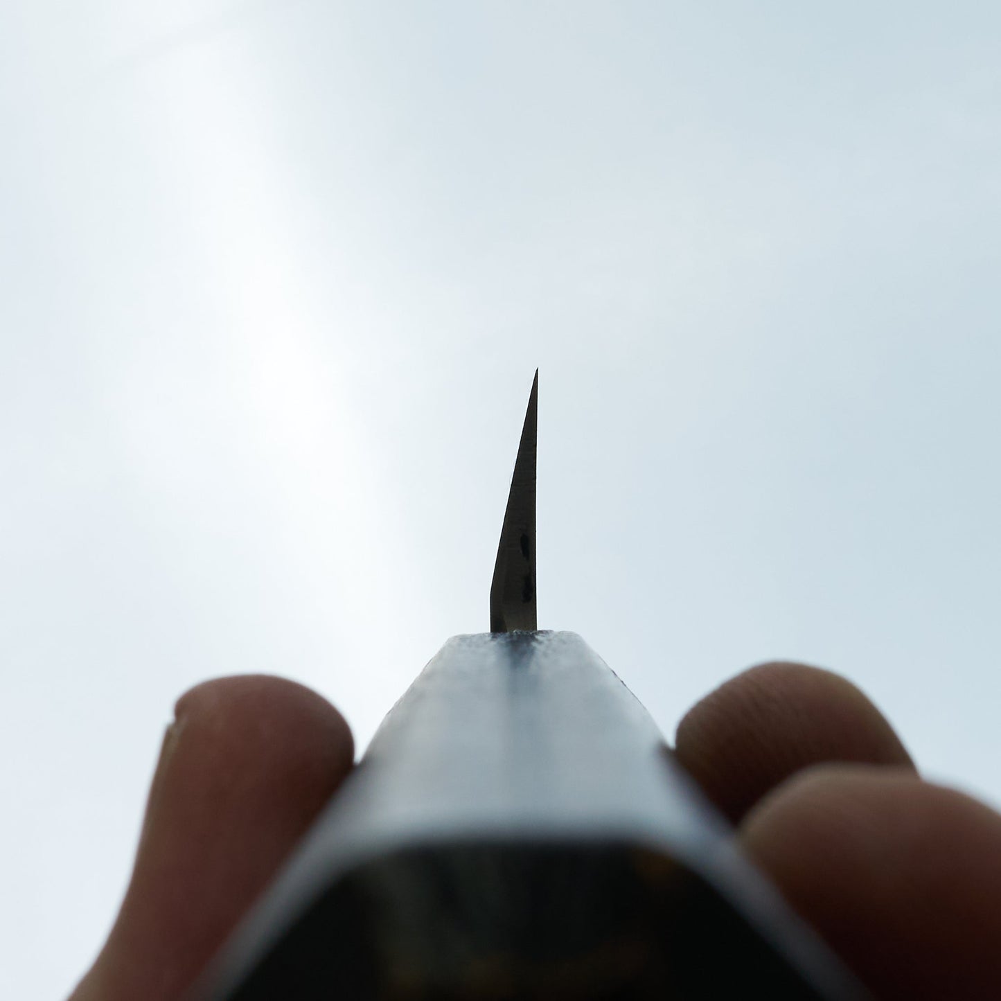 Sakai Takayuki Nanairo Black Gold Yanagiba 240mm