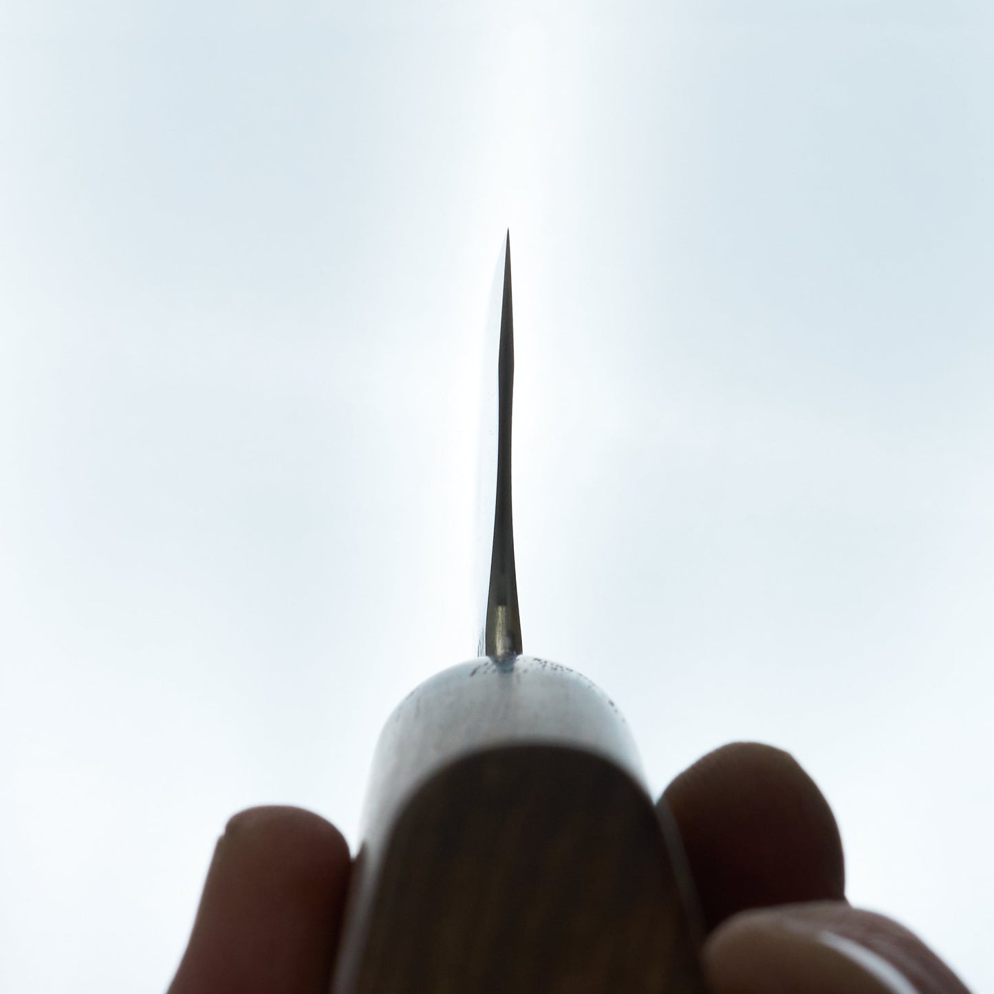 Lew Griffin S-Grind Holm Oak Gyuto 212mm