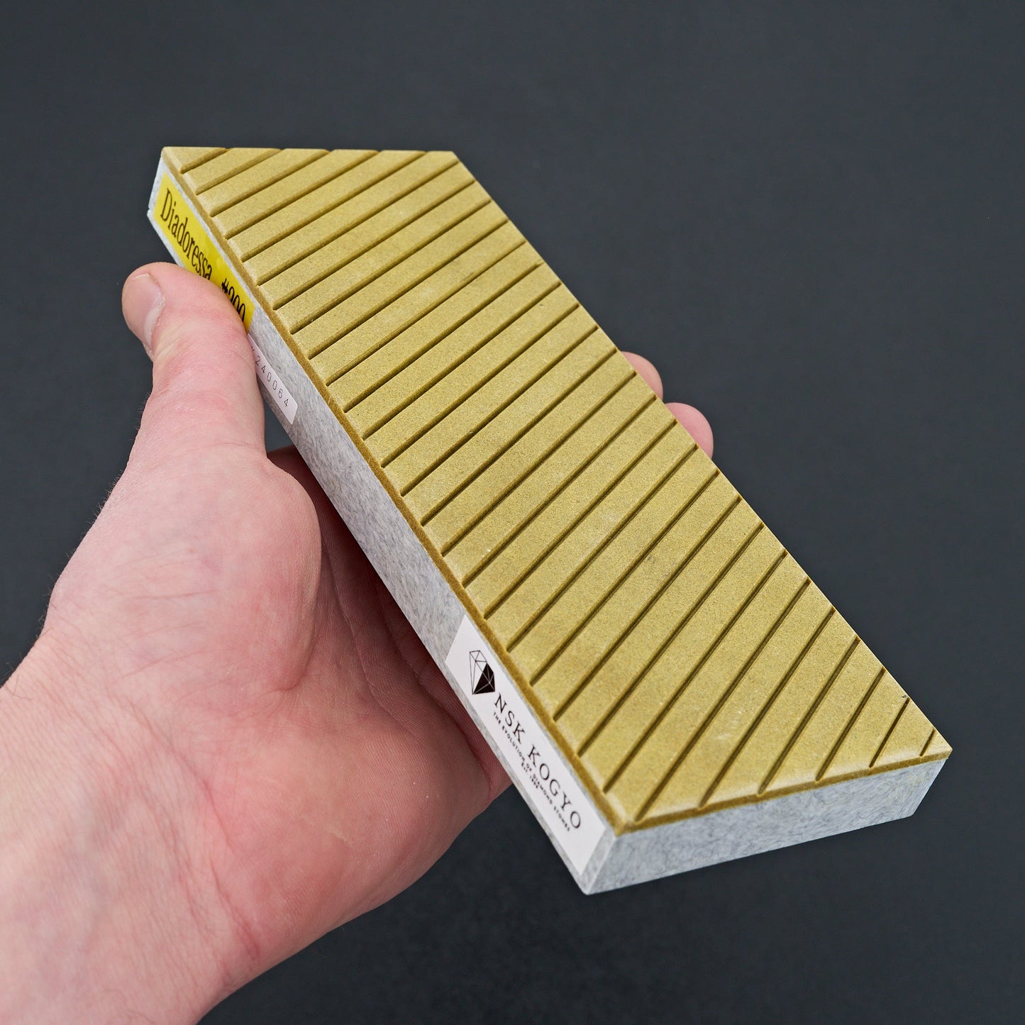 NSK Kogyo Flattening Stone 200