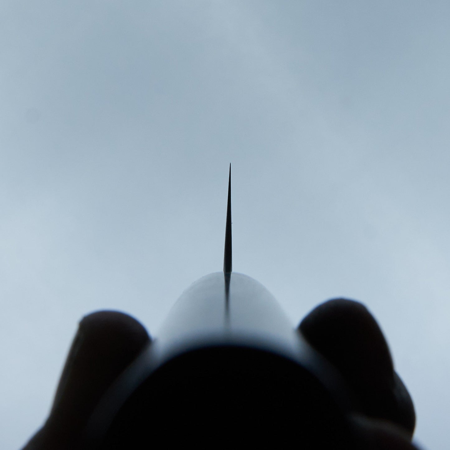 Tsunehisa AS Migaki Sujihiki 270mm