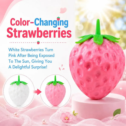 2pcs Squeezable Strawberry Toy,Color Changing Strawberry Squishy Toy, Sunlight Activated Pink Transformation Stress Ball,Squeezable Fruit Ball Realistic Strawberry Model Squishy（Pink）