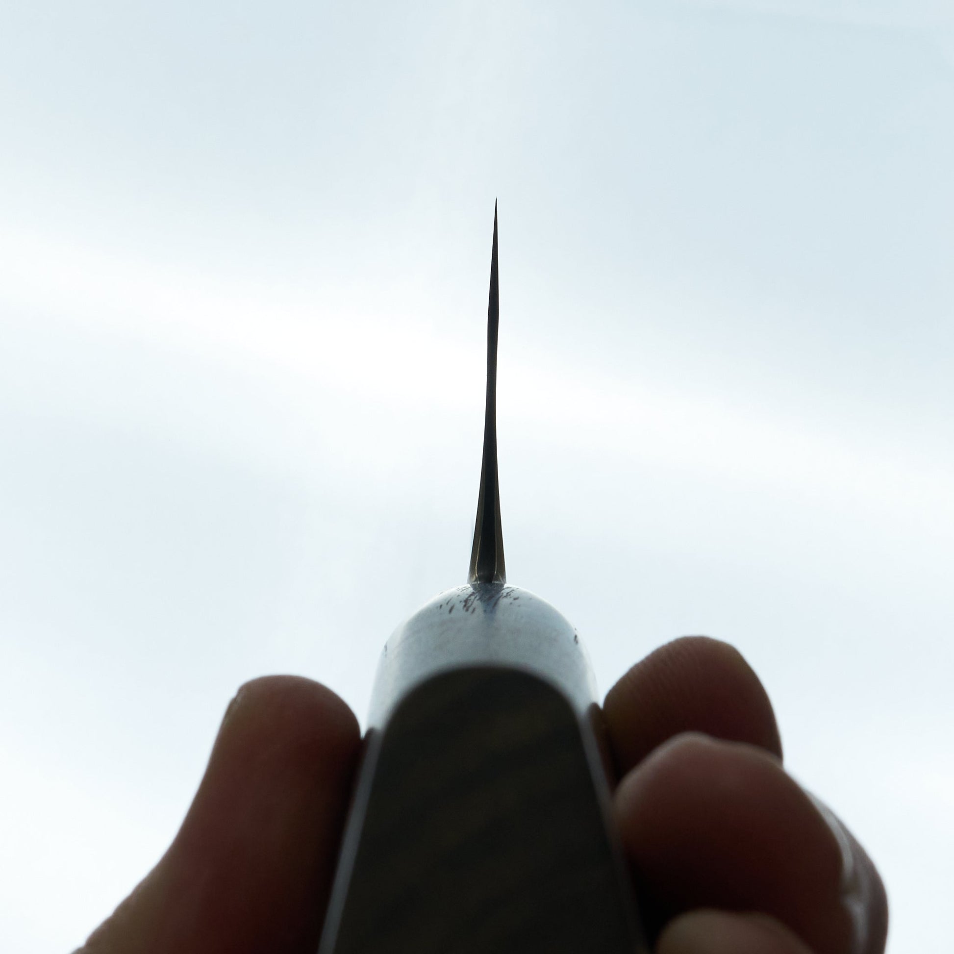 Lew Griffin S-Grind Sanmai Curly Linden Gyuto 235mm