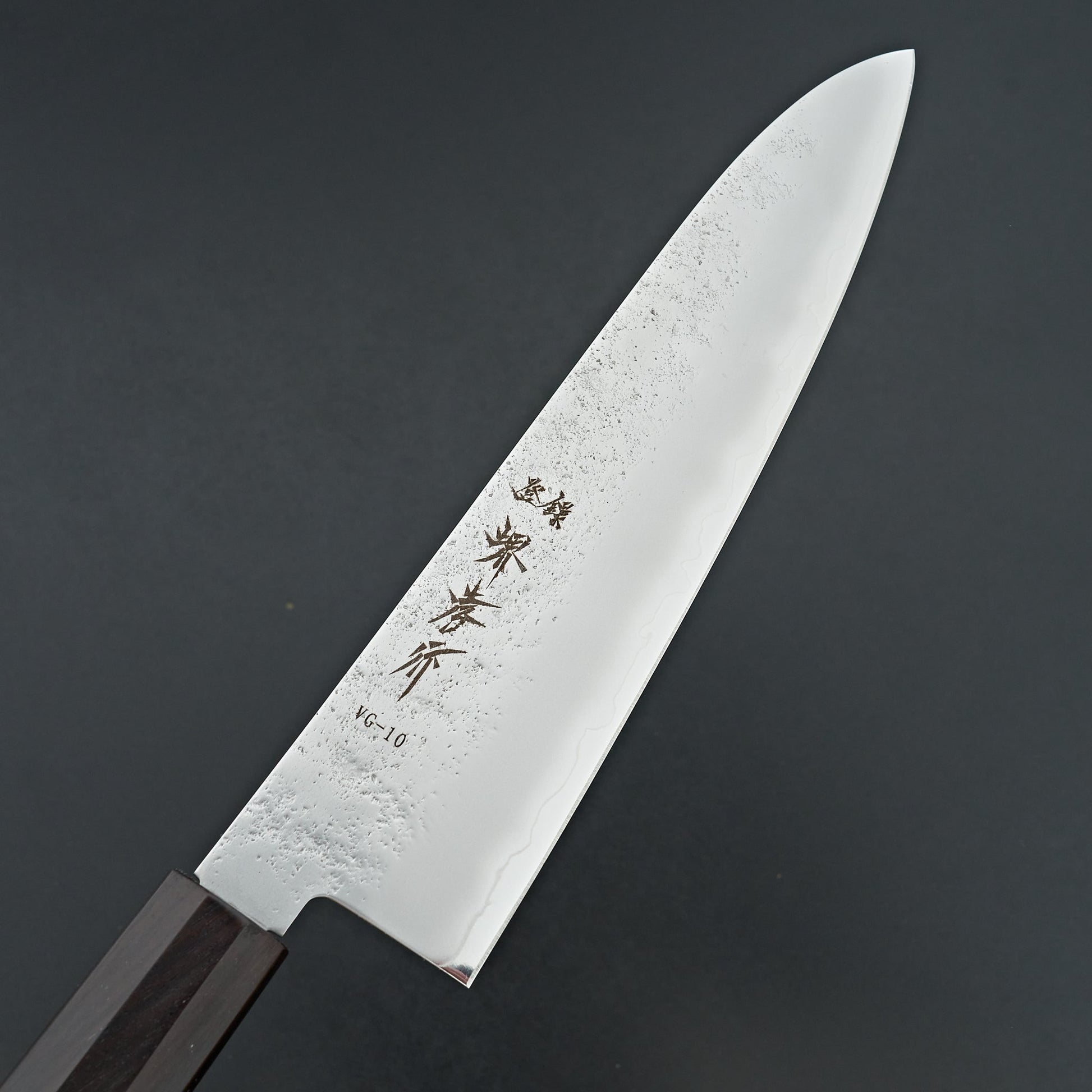 Sakai Takayuki VG10 Nashiji Gyuto 240mm