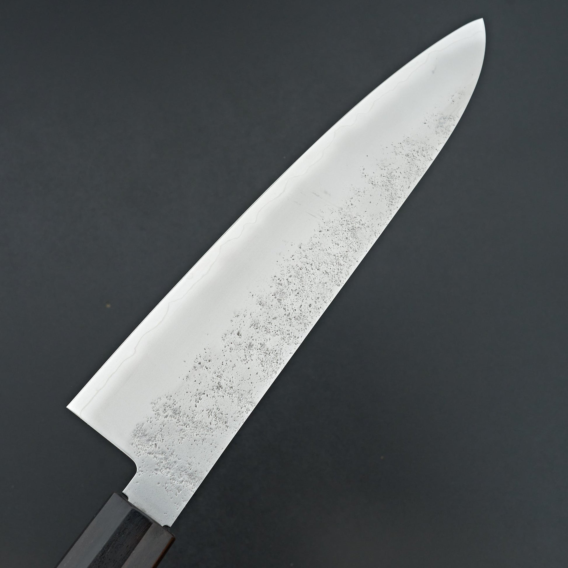 Sakai Takayuki VG10 Nashiji Gyuto 240mm