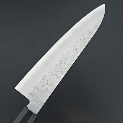 Sakai Takayuki VG10 Nashiji Gyuto 240mm