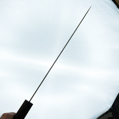 Sakai Takayuki VG10 Nashiji Gyuto 240mm