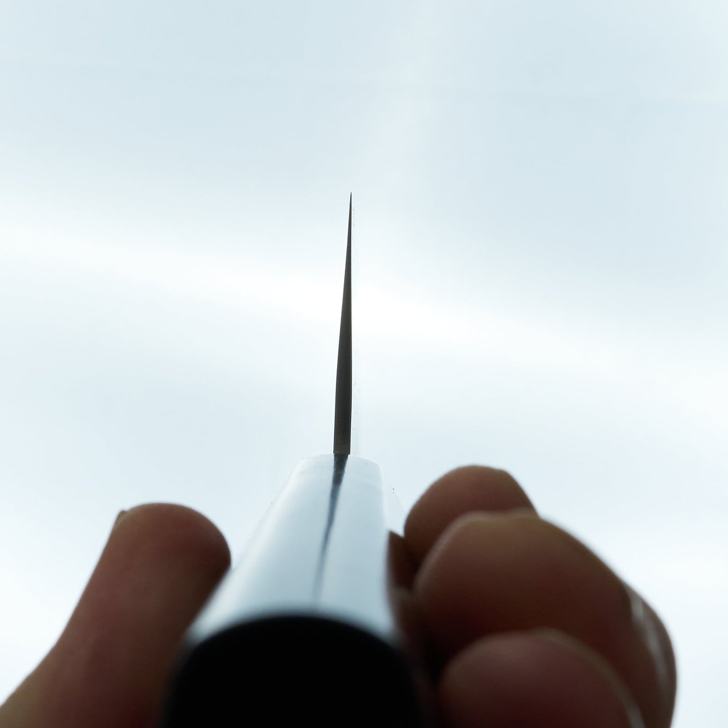 Sakai Takayuki VG10 Nashiji Gyuto 240mm