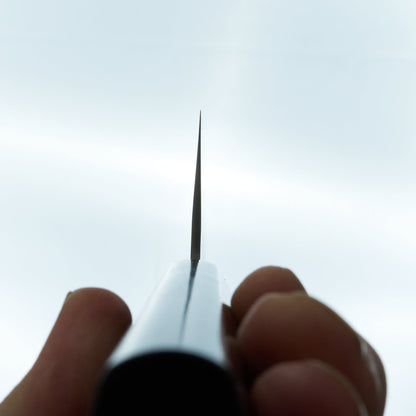 Sakai Takayuki VG10 Nashiji Gyuto 240mm