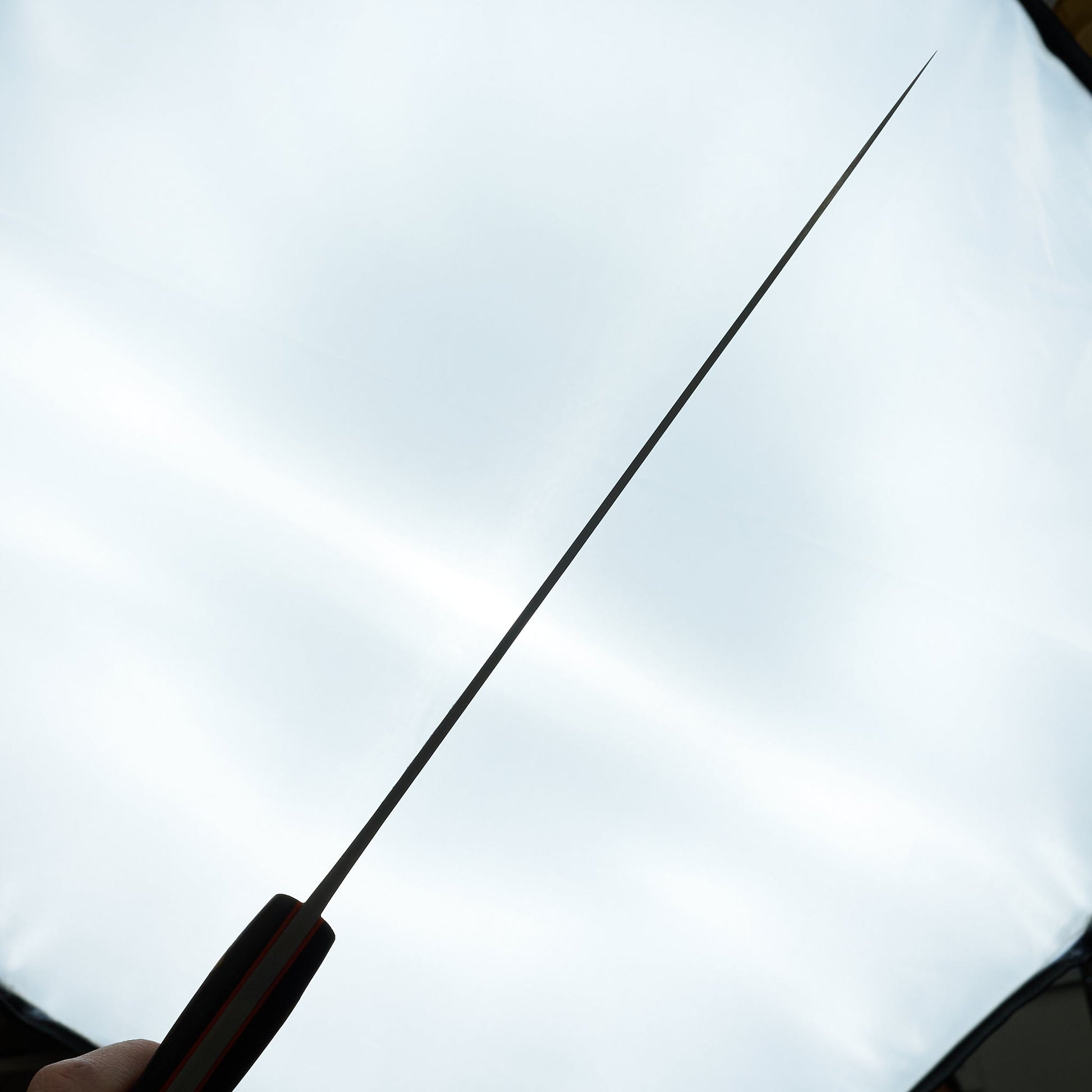 Jiro Tsuchime Yo Sujihiki 270mm Tagayasan Handle (#750)