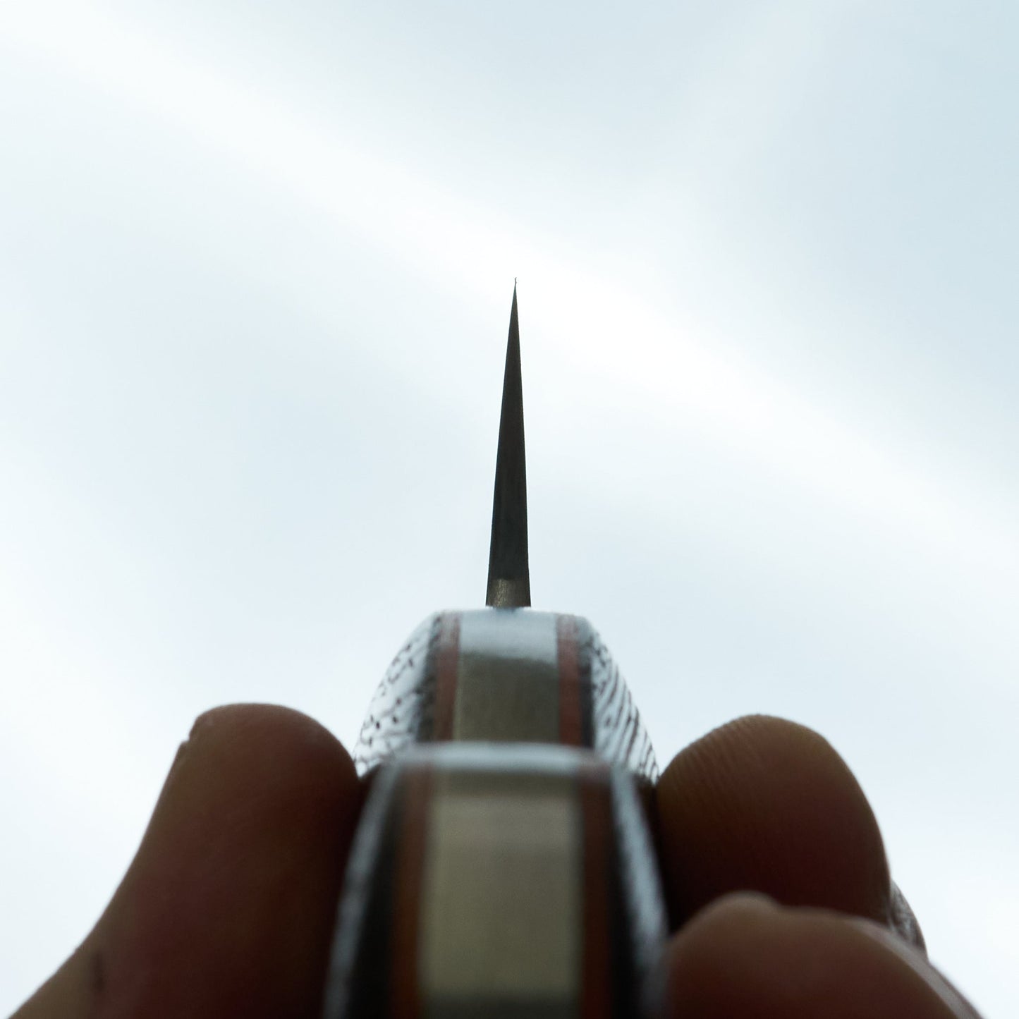 Jiro Tsuchime Yo Sujihiki 270mm Tagayasan Handle (#750)