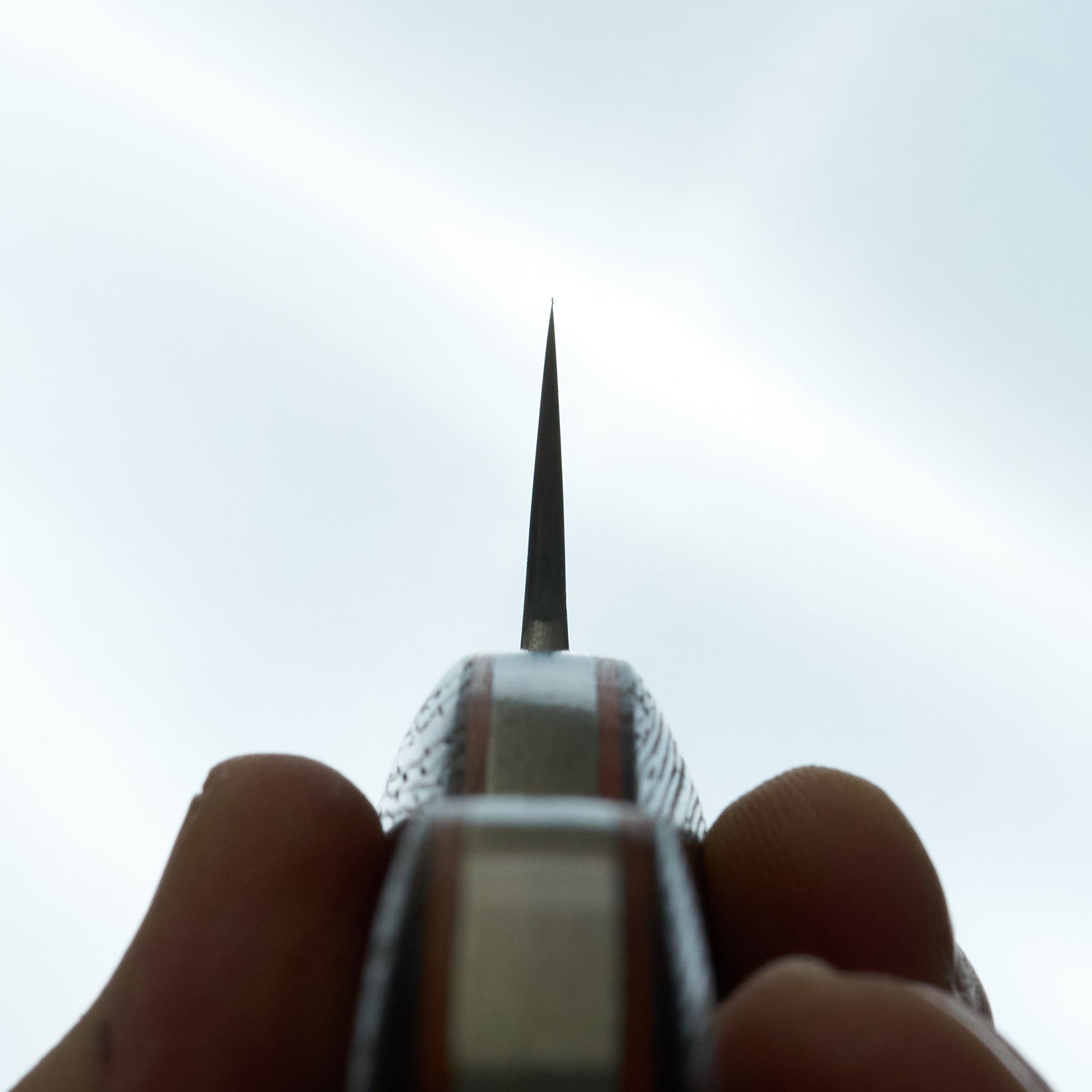 Jiro Tsuchime Yo Sujihiki 270mm Tagayasan Handle (#750)