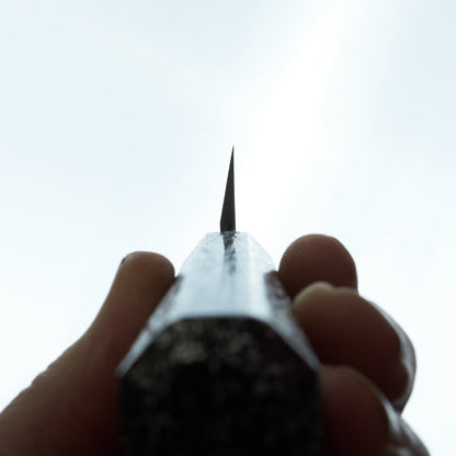 Sakai Takayuki Nanairo Maroon Yanagiba 240mm