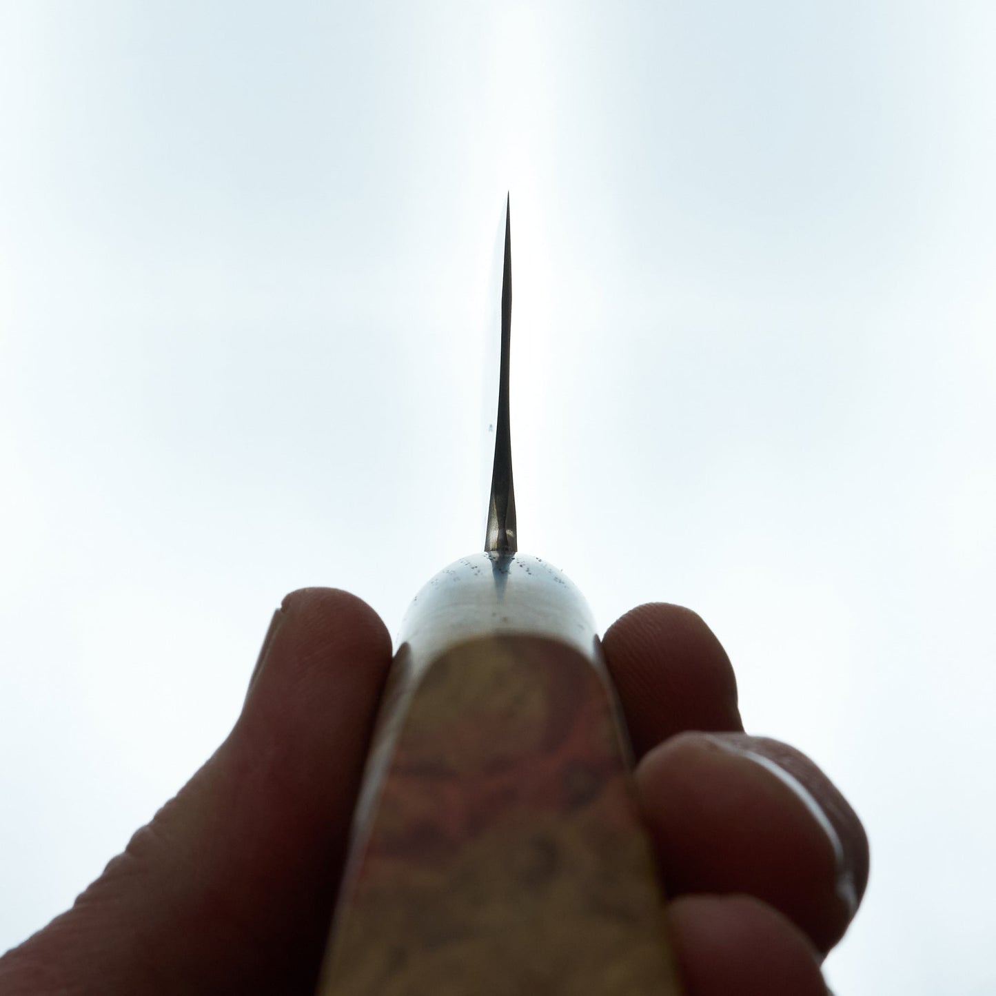 Lew Griffin S-Grind Copper San Mai 52100 Gyuto 225mm Holm Oak