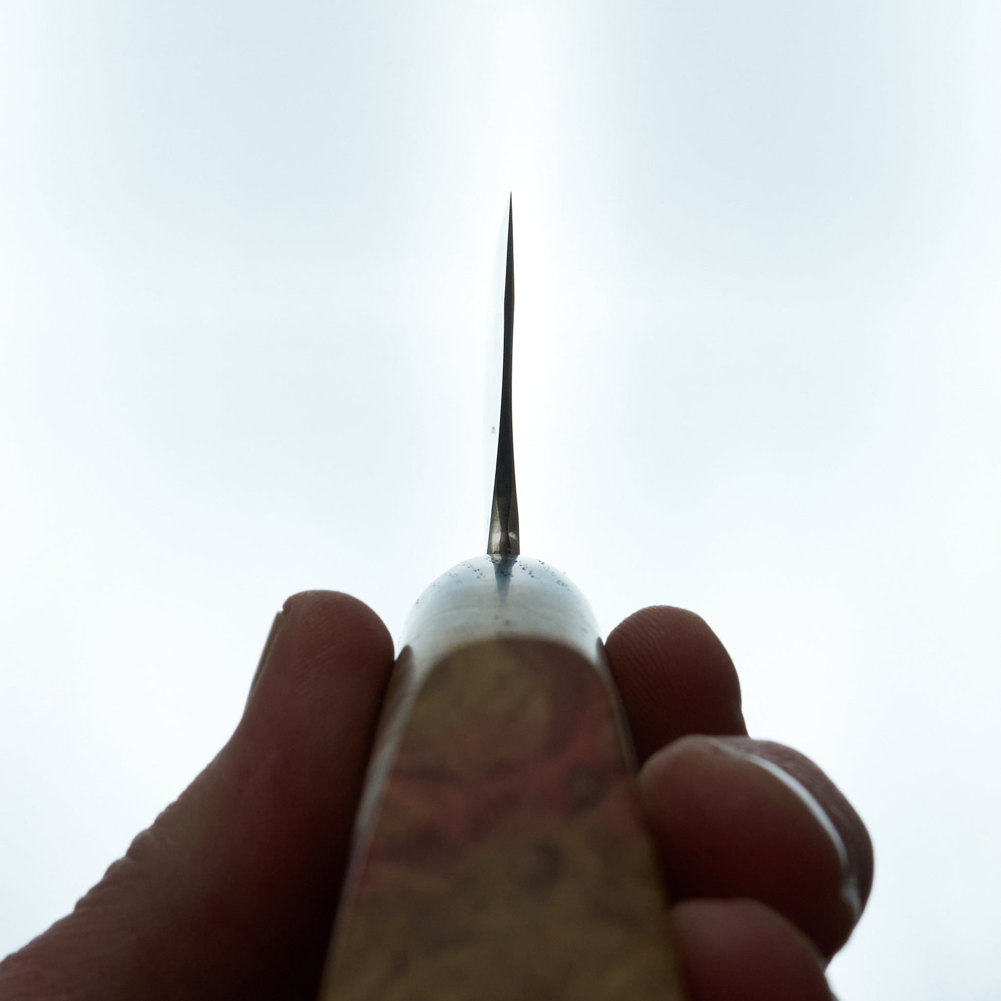 Lew Griffin S-Grind Copper San Mai 52100 Gyuto 225mm Holm Oak