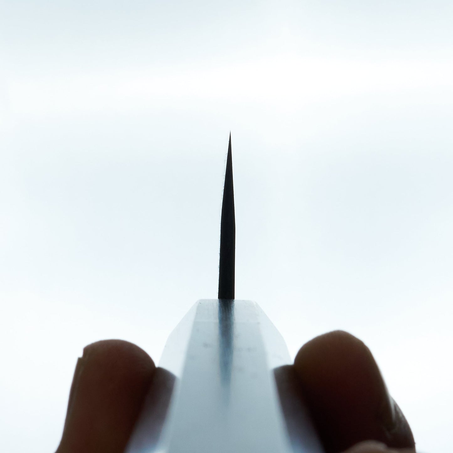 Shiro Kamo AS Kurouchi Sujihiki 270mm