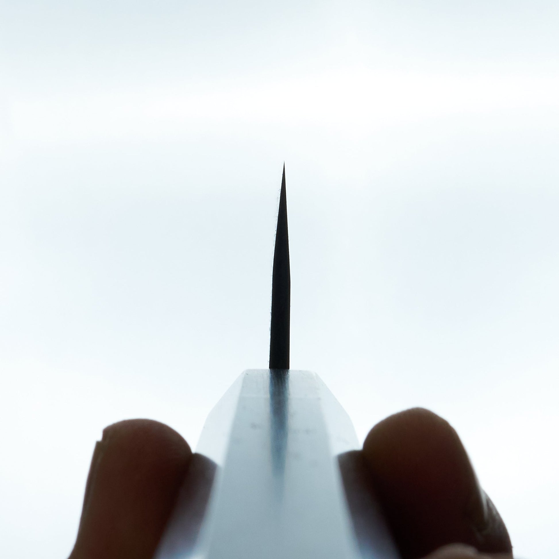 Shiro Kamo AS Kurouchi Sujihiki 270mm