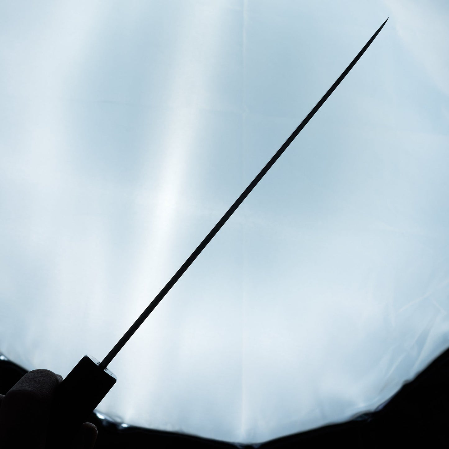 Itsuo Doi Aogami #2 Gyuto 240mm Ebony