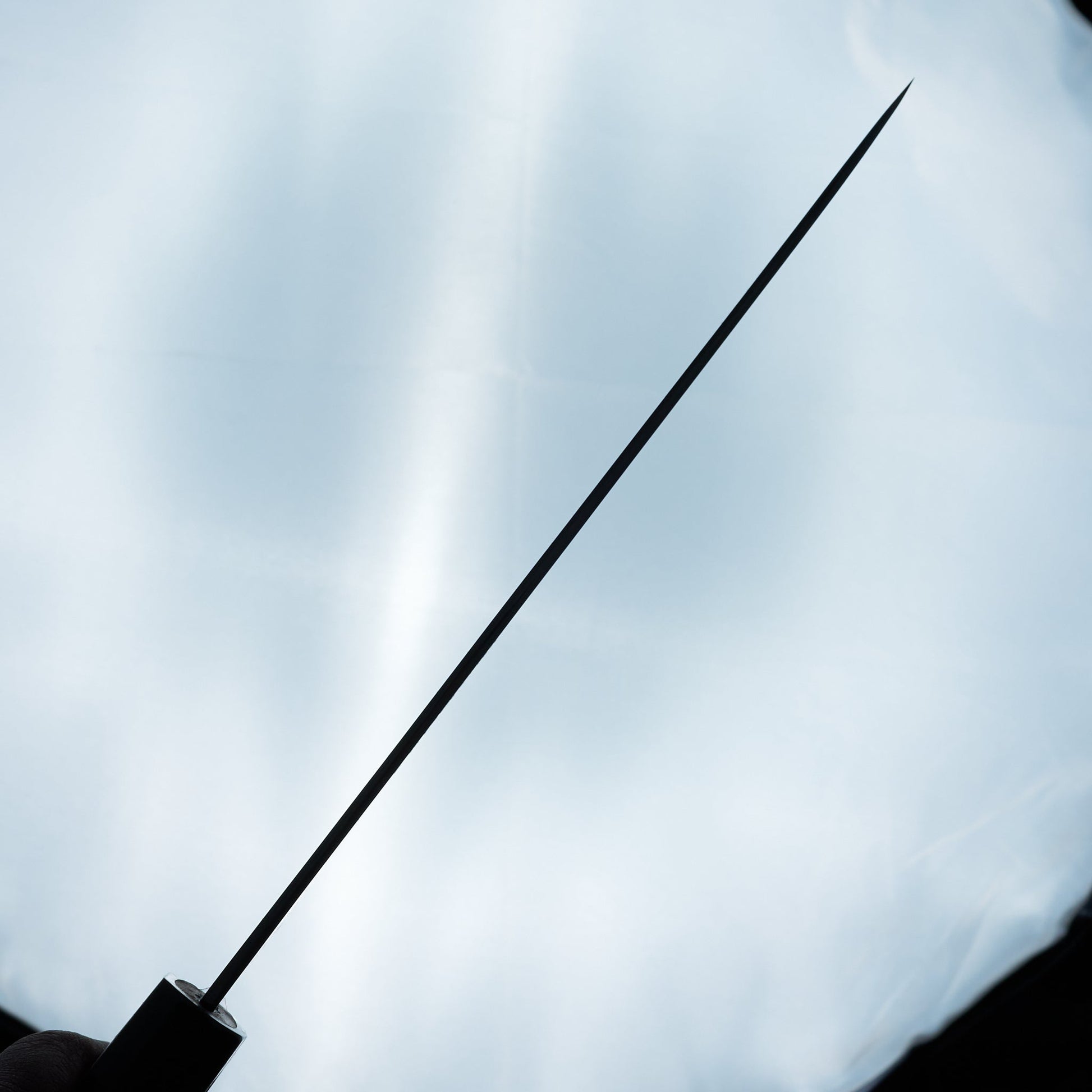 Itsuo Doi Aogami #2 Gyuto 240mm