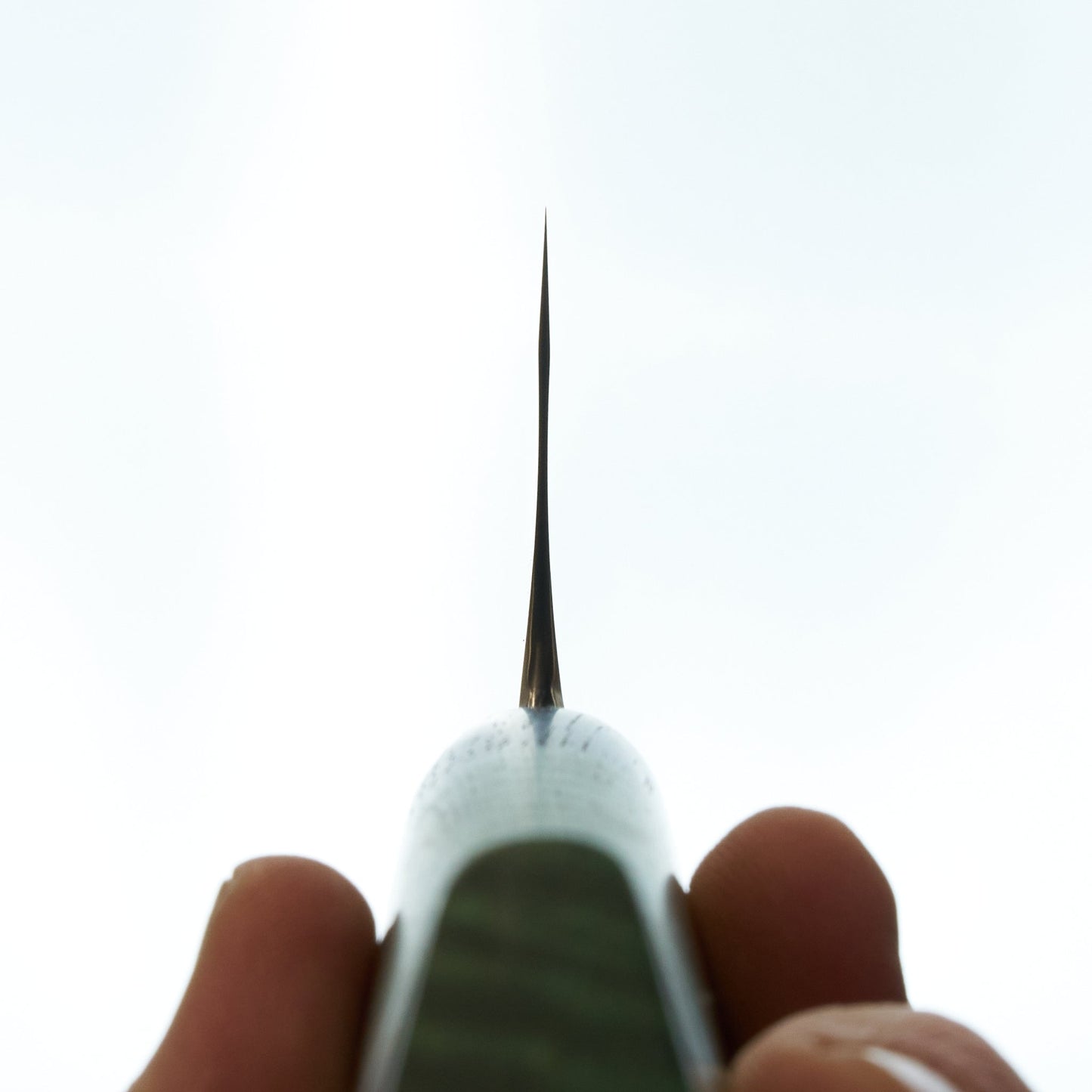 Lew Griffin S-Grind San Mai 52100 Green Mango Gyuto 210mm