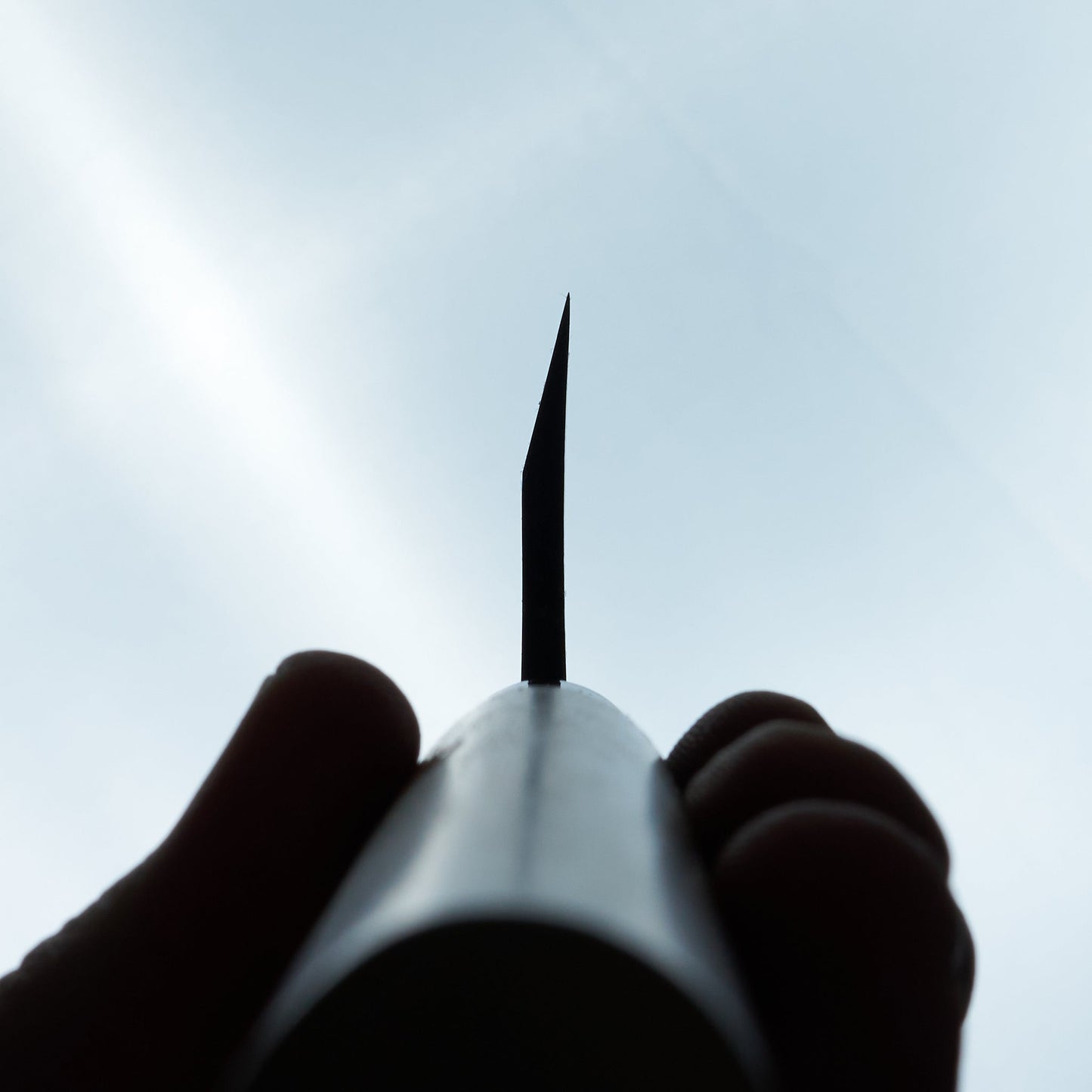 Sakai Takayuki Kasumitogi Funayuki 210mm