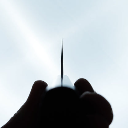 Sakai Takayuki VG10 Nashiji Kengata 190mm