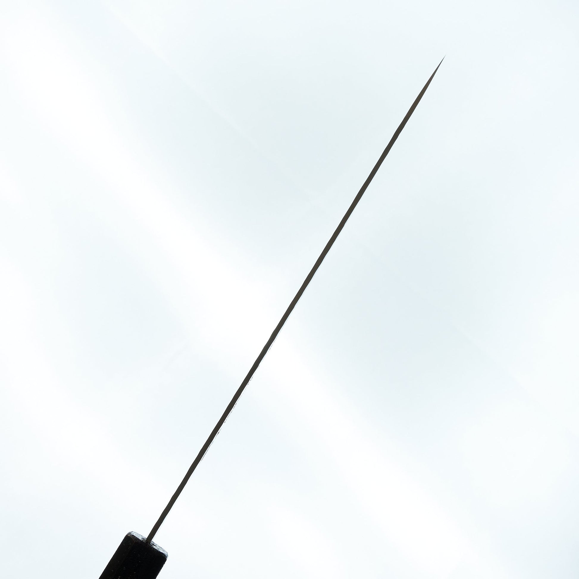 Sakai Takayuki Red Rinko Lacquer 33 Layer Damascus Gyuto 210mm