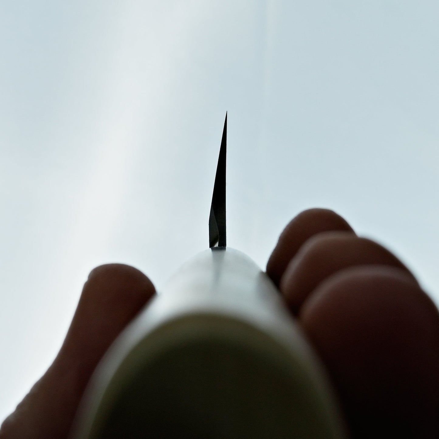 Sakai Takayuki Tokujou Usuba 180mm