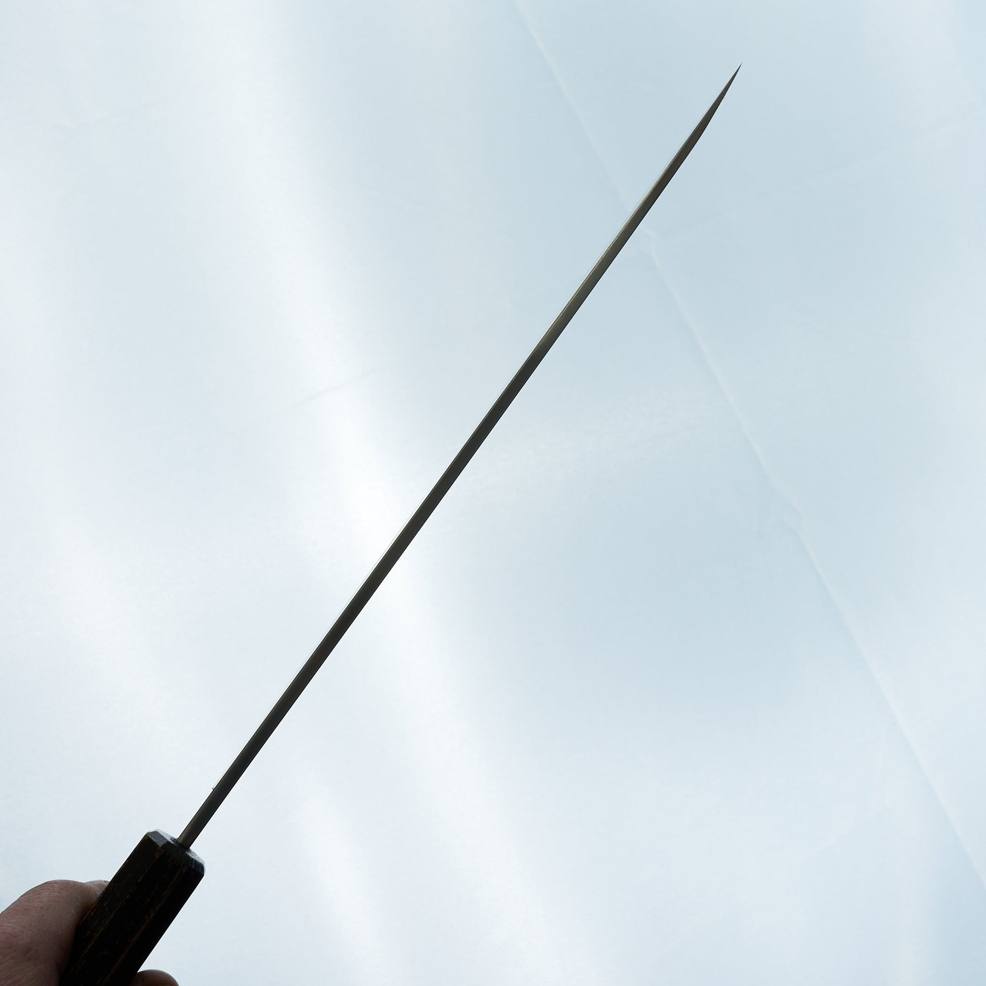 Sakai Takayuki Nanairo Black Gold Yanagiba 240mm