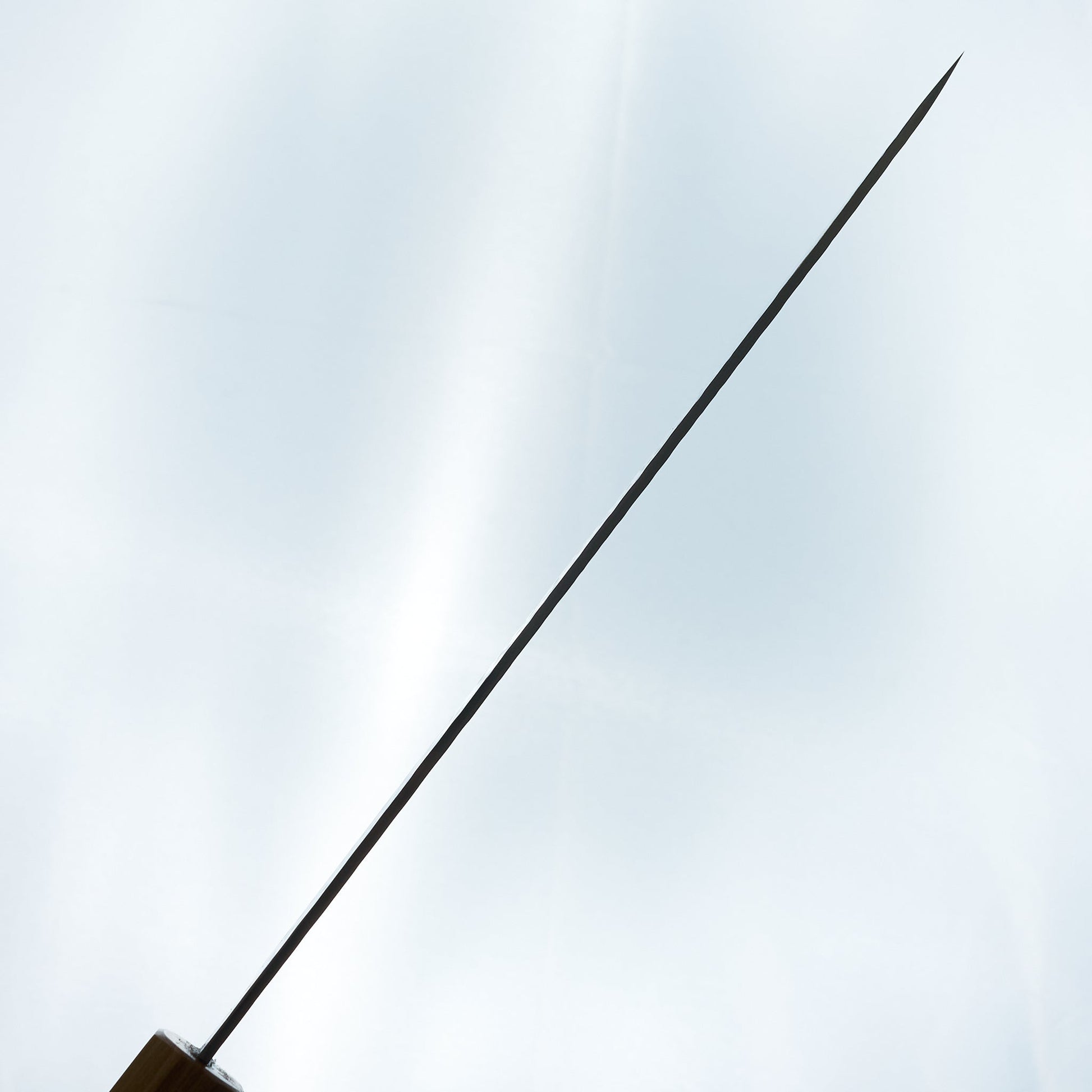 Makoto SG2 Sakura Tsuchime Gyuto 210mm