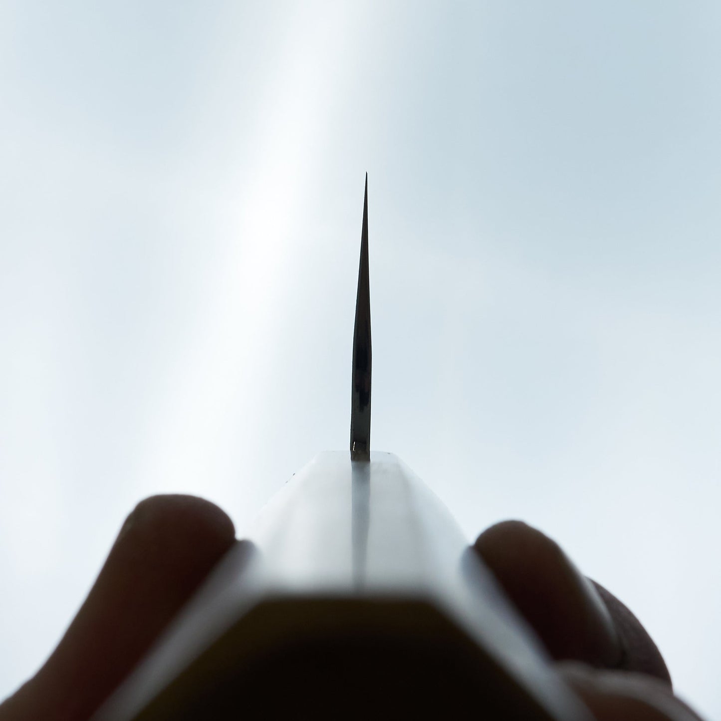 Makoto SG2 Sakura Tsuchime Gyuto 210mm