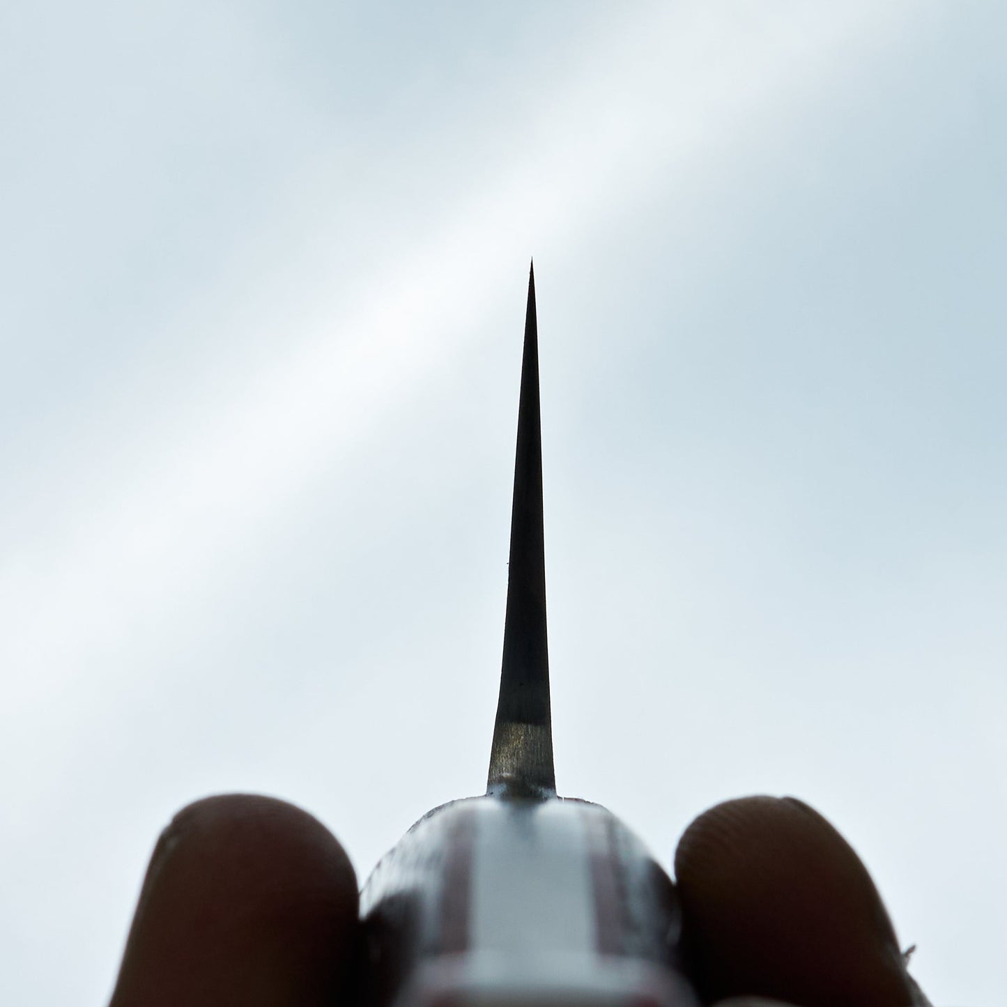 Jiro Tsuchime Yo Petty 150mm Tagayasan Handle (#680)