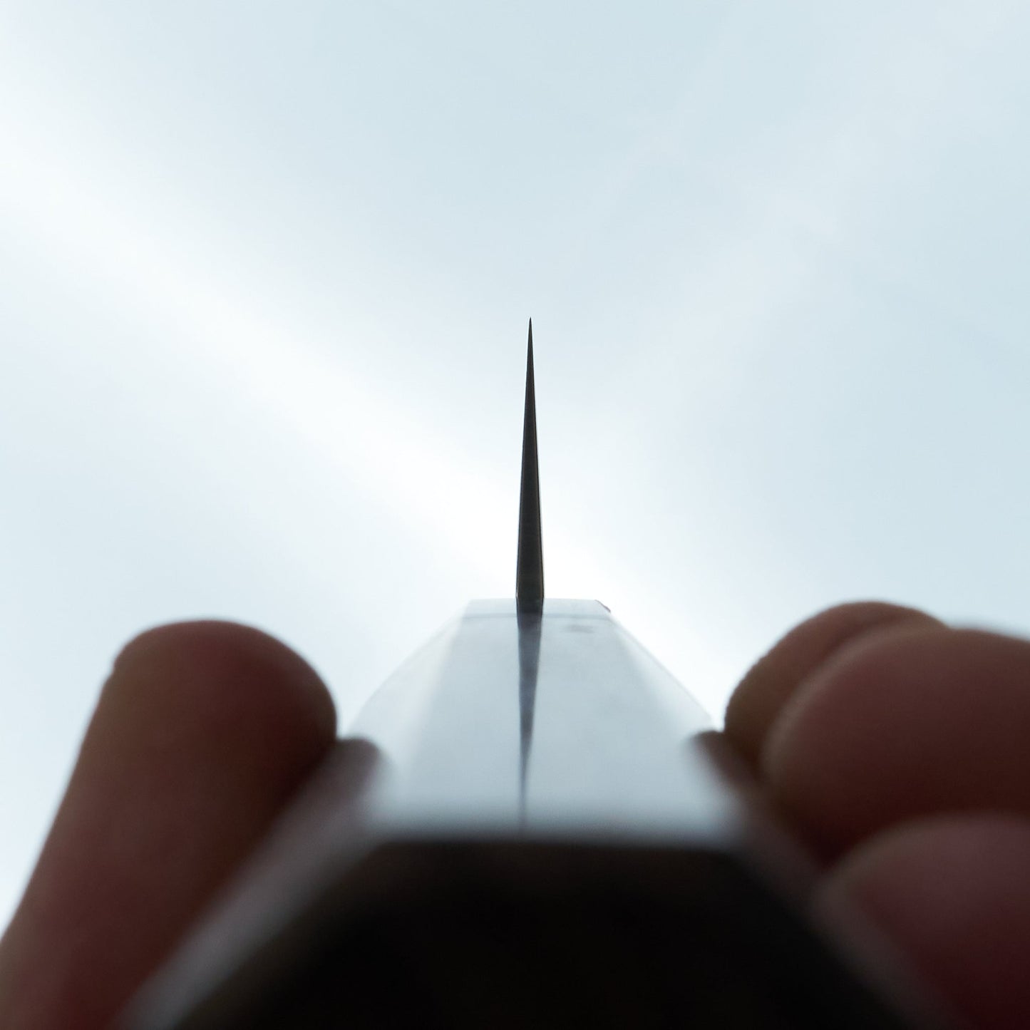 Sakai Takayuki Walnut 33 Layer Damascus Sujihiki 240mm