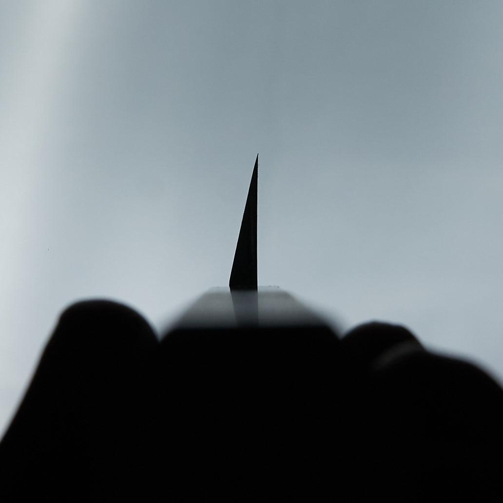 Hitohira Kikuchiyo Manzo Blue #2 Yanagiba 300mm Ho Wood Handle