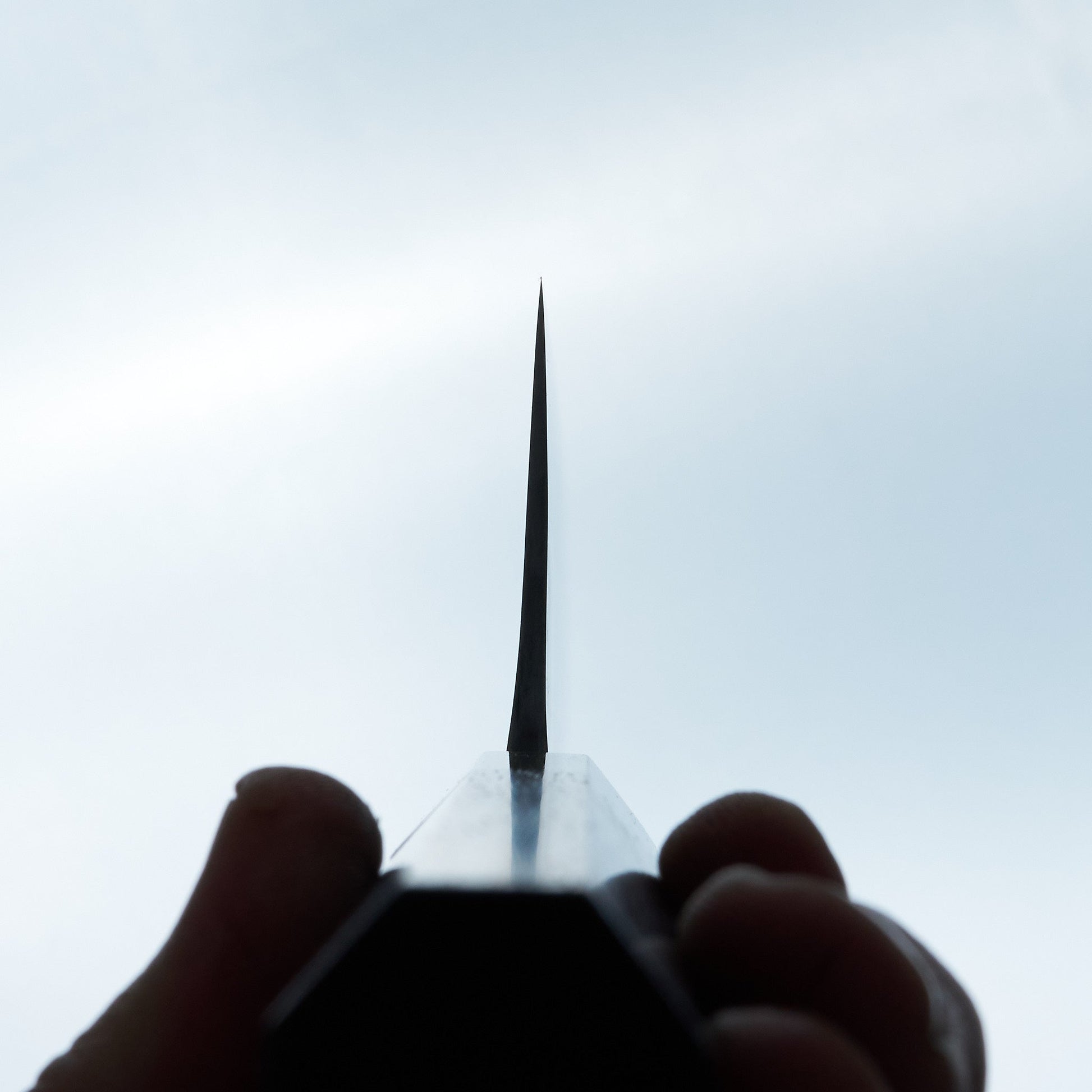 Jiro Tsuchime Wa Gyuto 225mm Taihei Tagayasan Handle (#614)