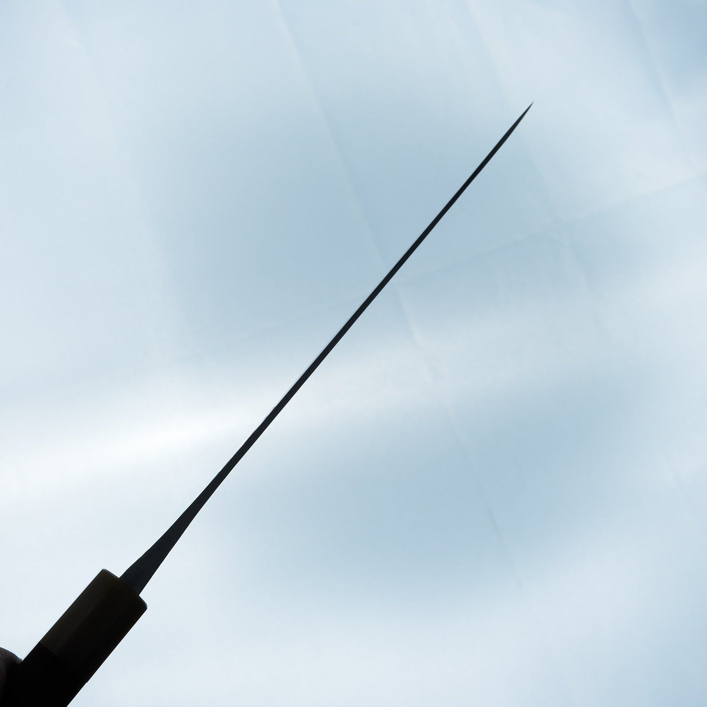 Jiro Tsuchime Wa Gyuto 225mm Taihei Tagayasan Handle (#614)