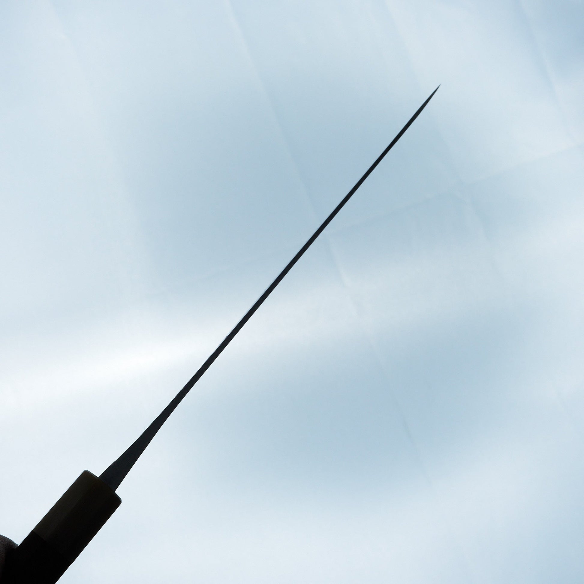 Jiro Tsuchime Wa Gyuto 225mm Taihei Tagayasan Handle (#614)