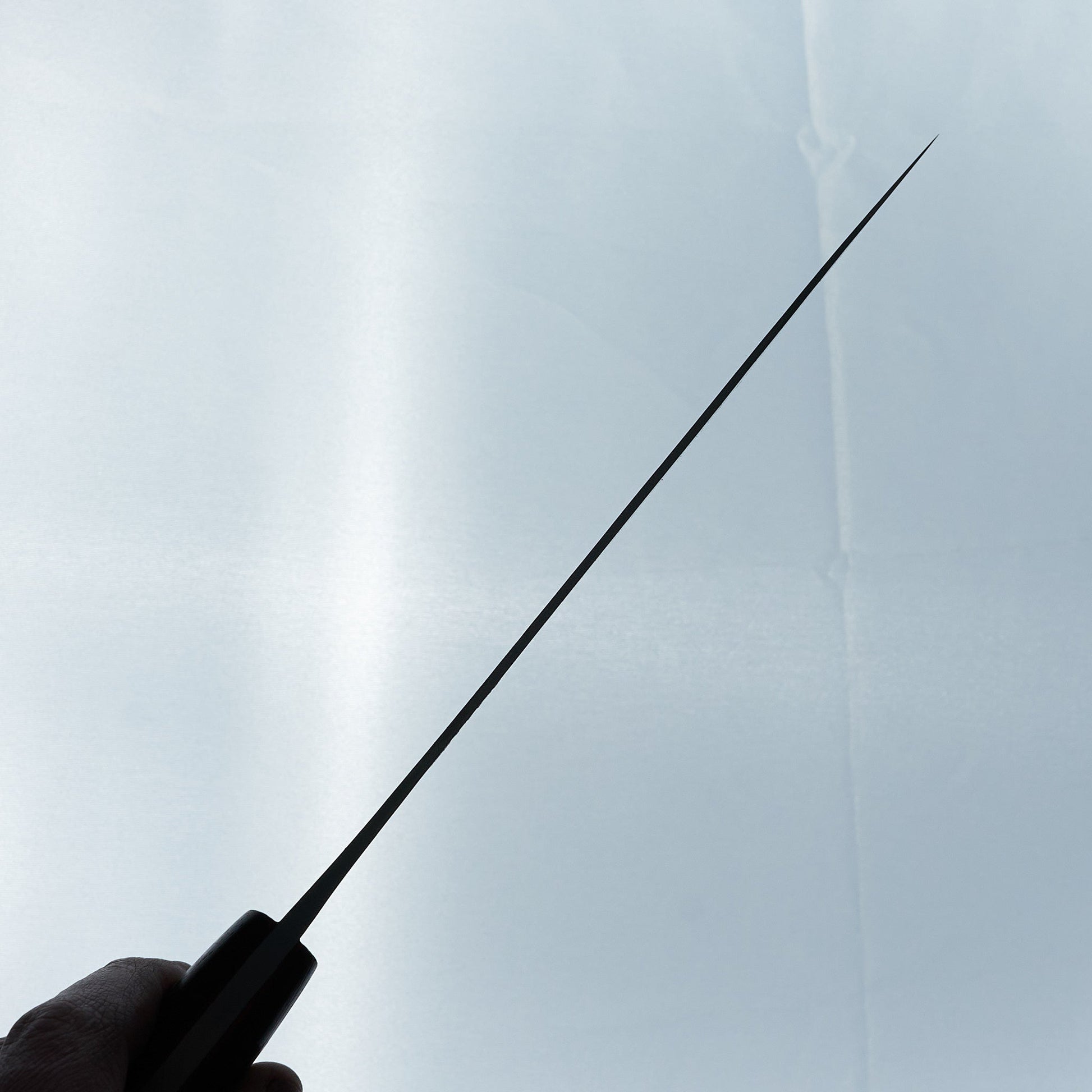 Jiro Tsuchime Yo Gyuto 225mm Tagayasan Handle (#472)