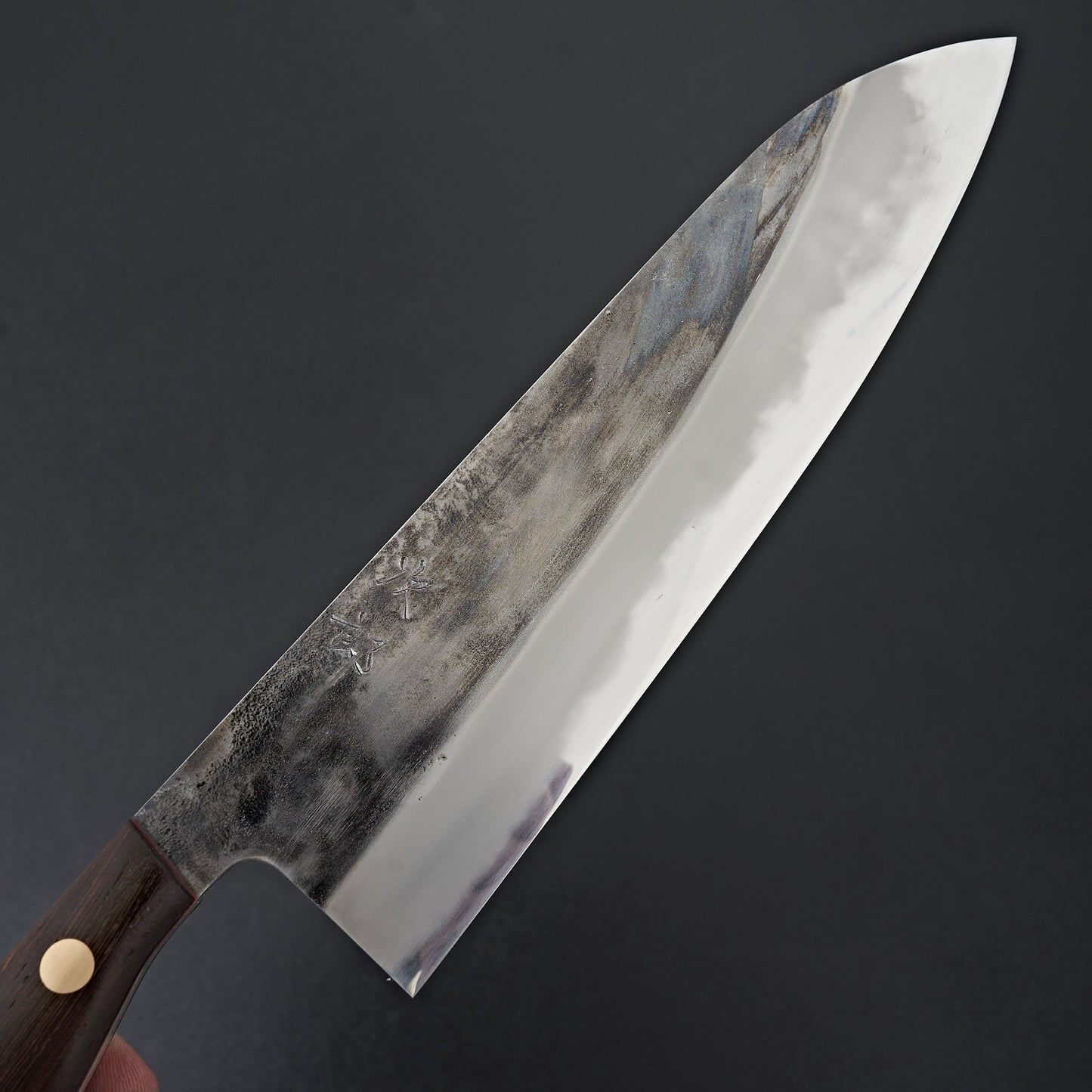 Jiro Tsuchime Yo Gyuto 225mm Tagayasan Handle (#472)