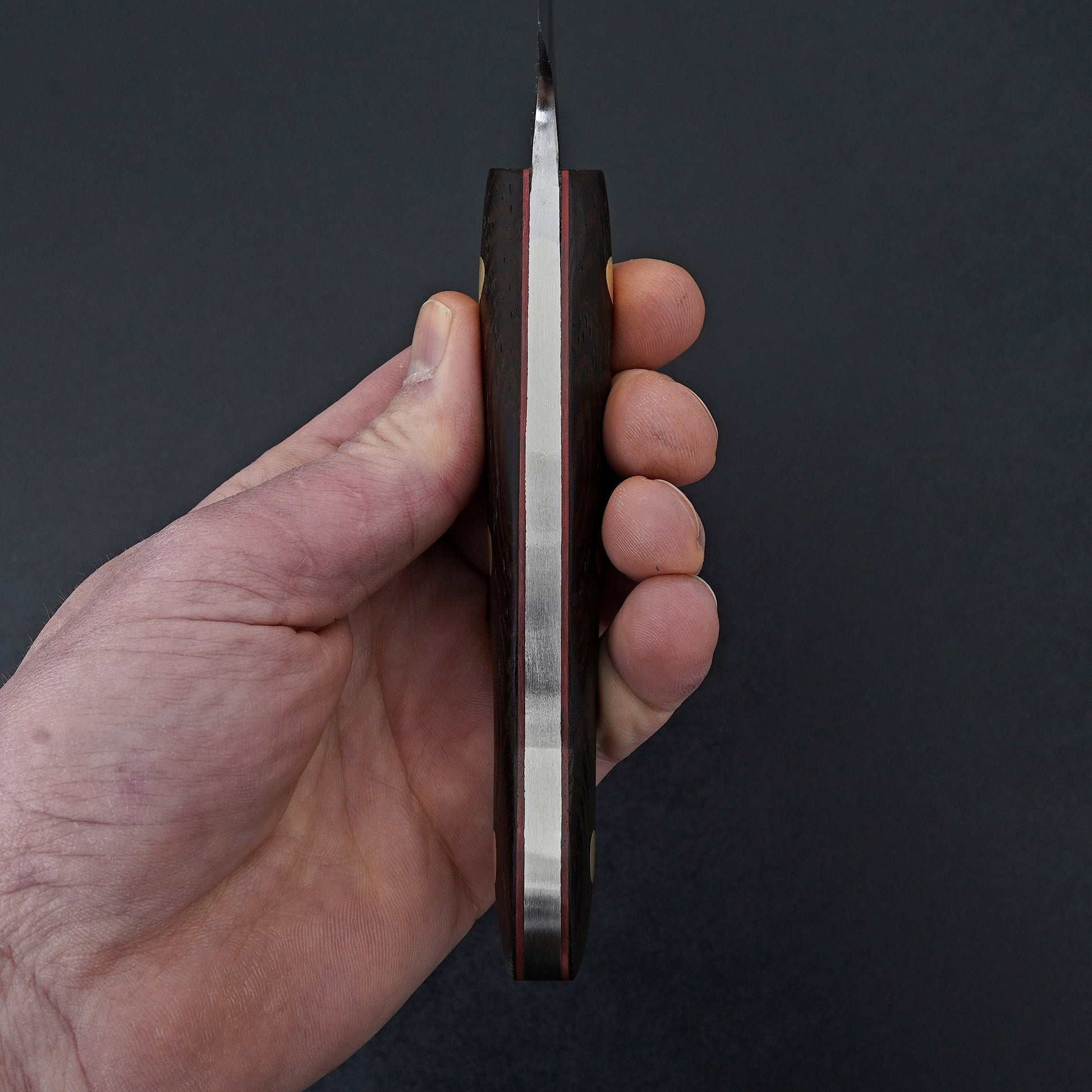 Jiro Tsuchime Yo Gyuto 240mm Tagayasan Handle (#541)