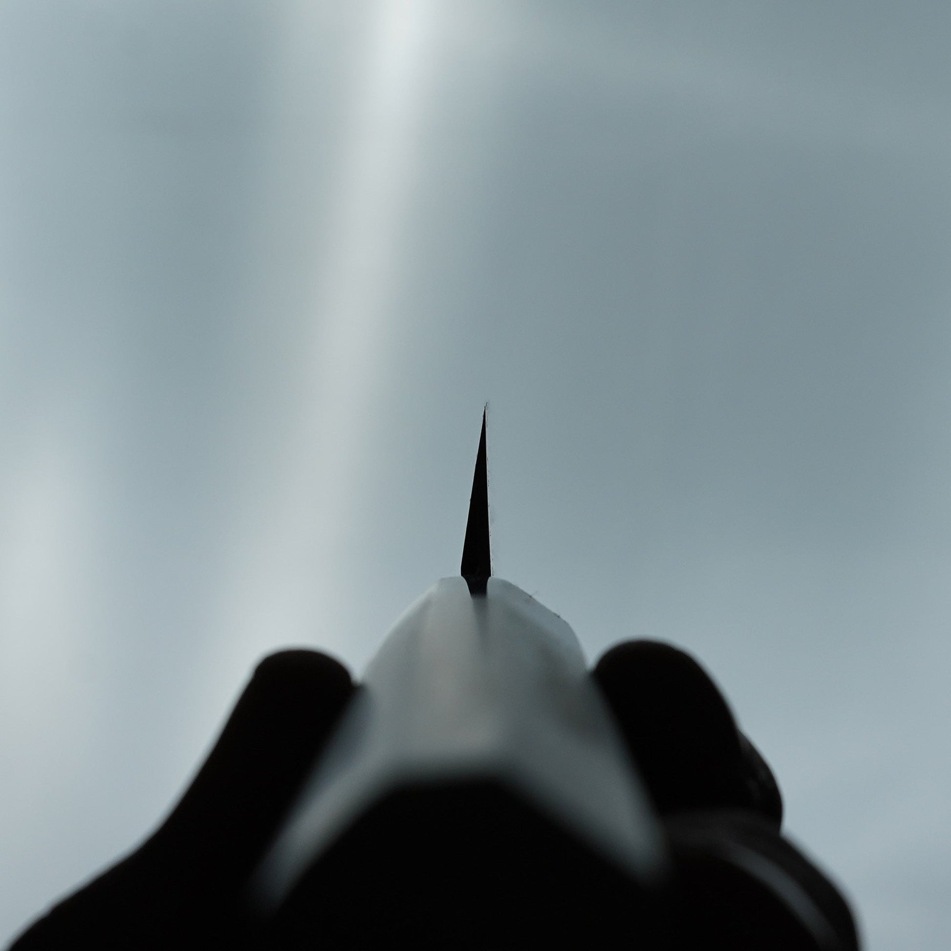 Sakai Takayuki Ginsan Yanagiba 240mm