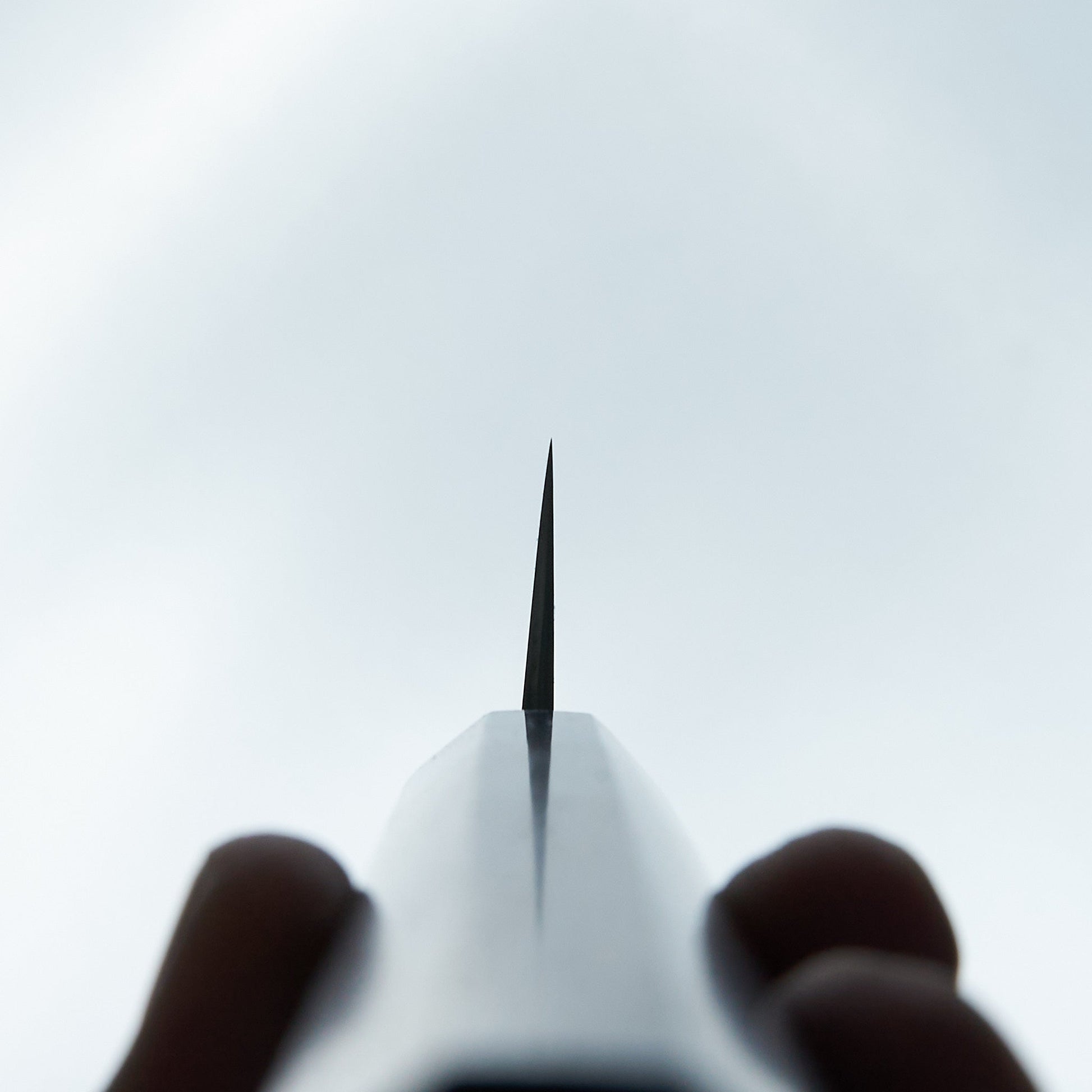 Takada no Hamono Reika White #2 Sujihiki 270mm