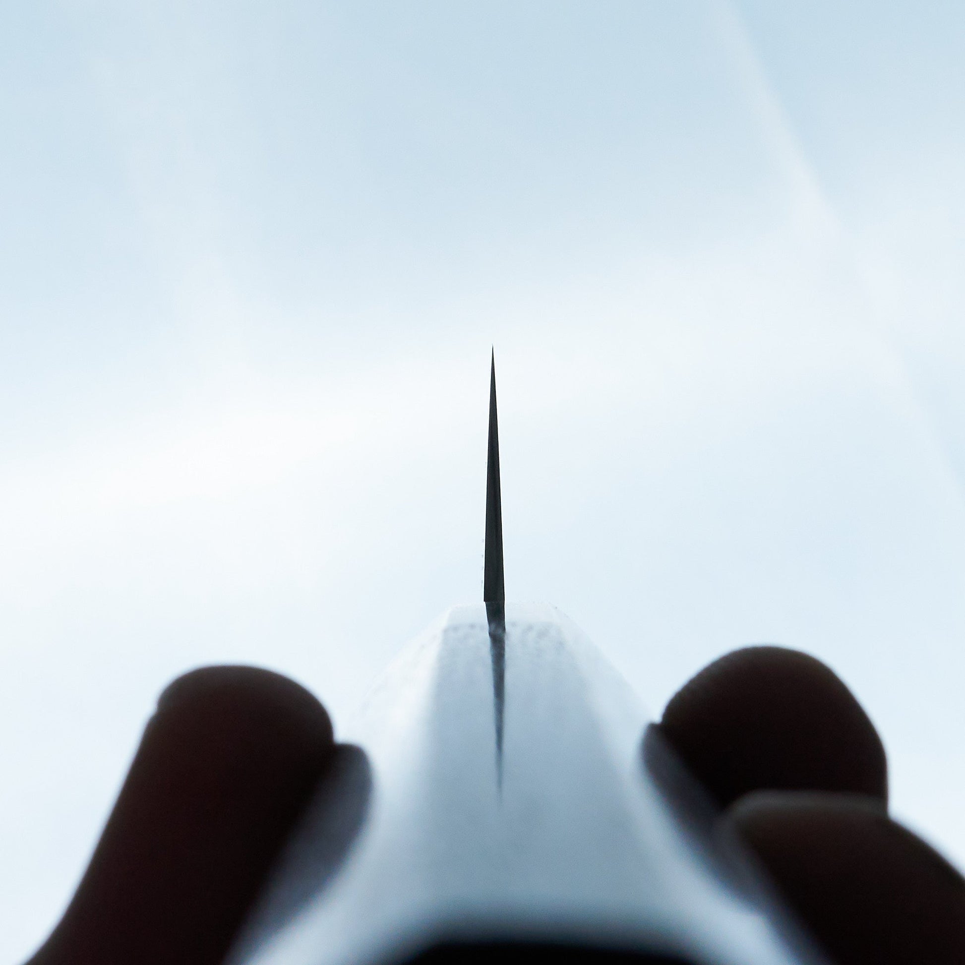 Takada no Hamono Suiboku Rosewood Ginsan Sujihiki 270mm