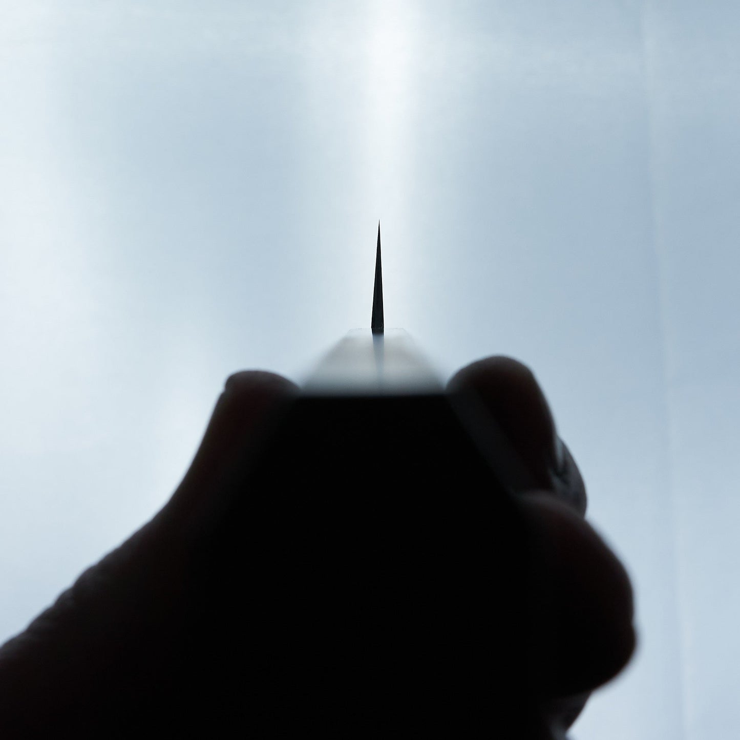 Tetsujin Blue #2 Kasumi Kiritsuke Sujihiki 240mm Ho Wood Handle